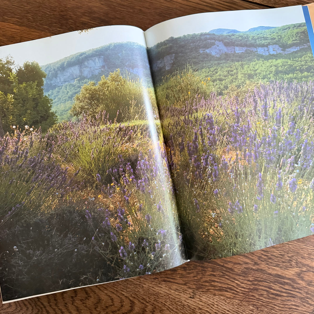 Provence Interiors by Lisa Lovatt-Smith, 1996 Taschen, French Country Interior Design, Gorgeous, Large, Illustrated Coffee Table Book