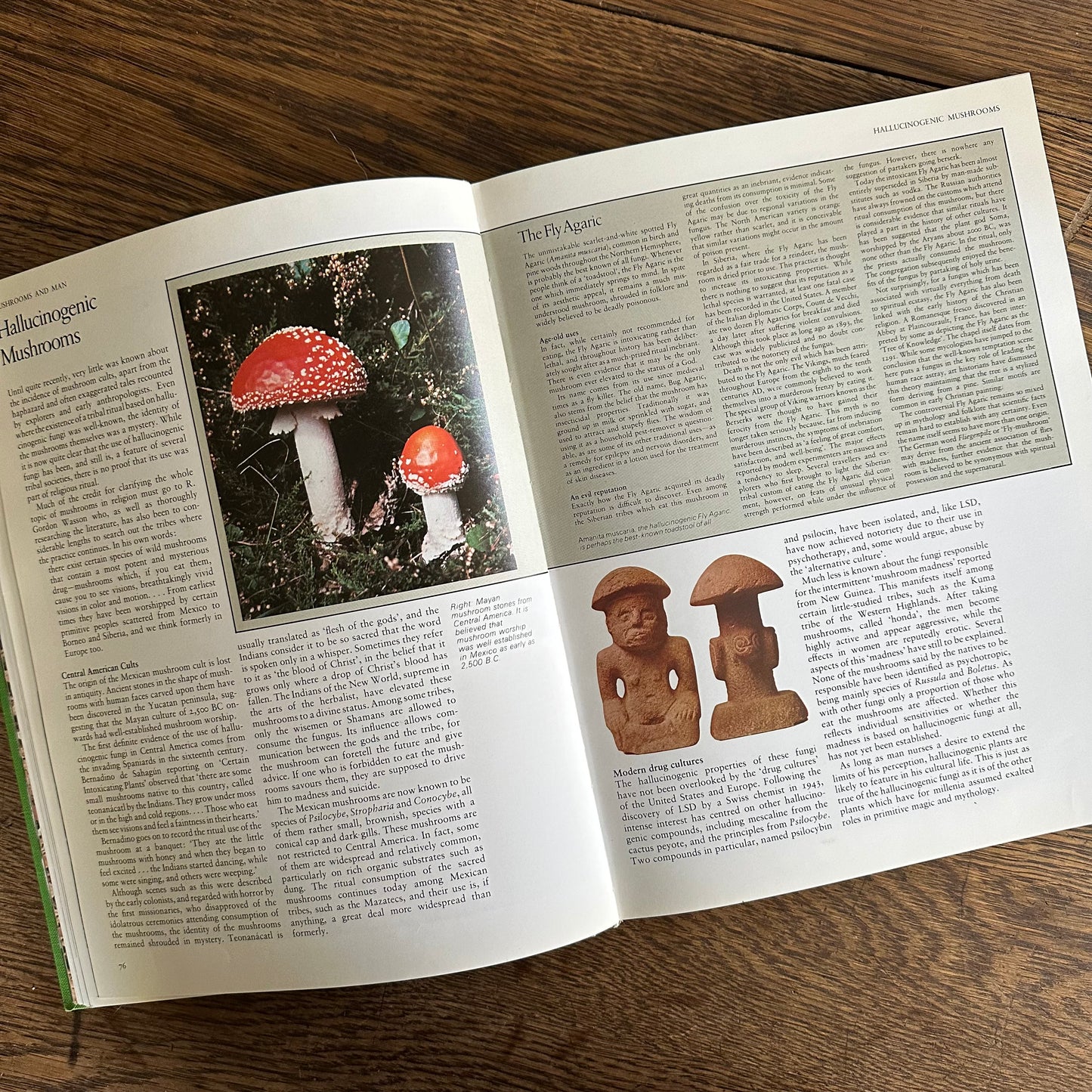 The Encyclopedia of Mushrooms, 1979