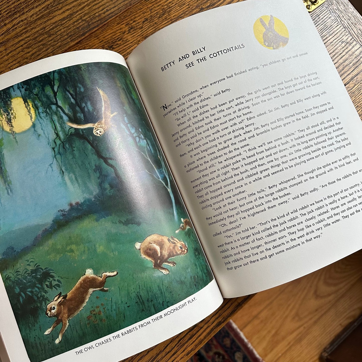 Animal Story Book - 1954