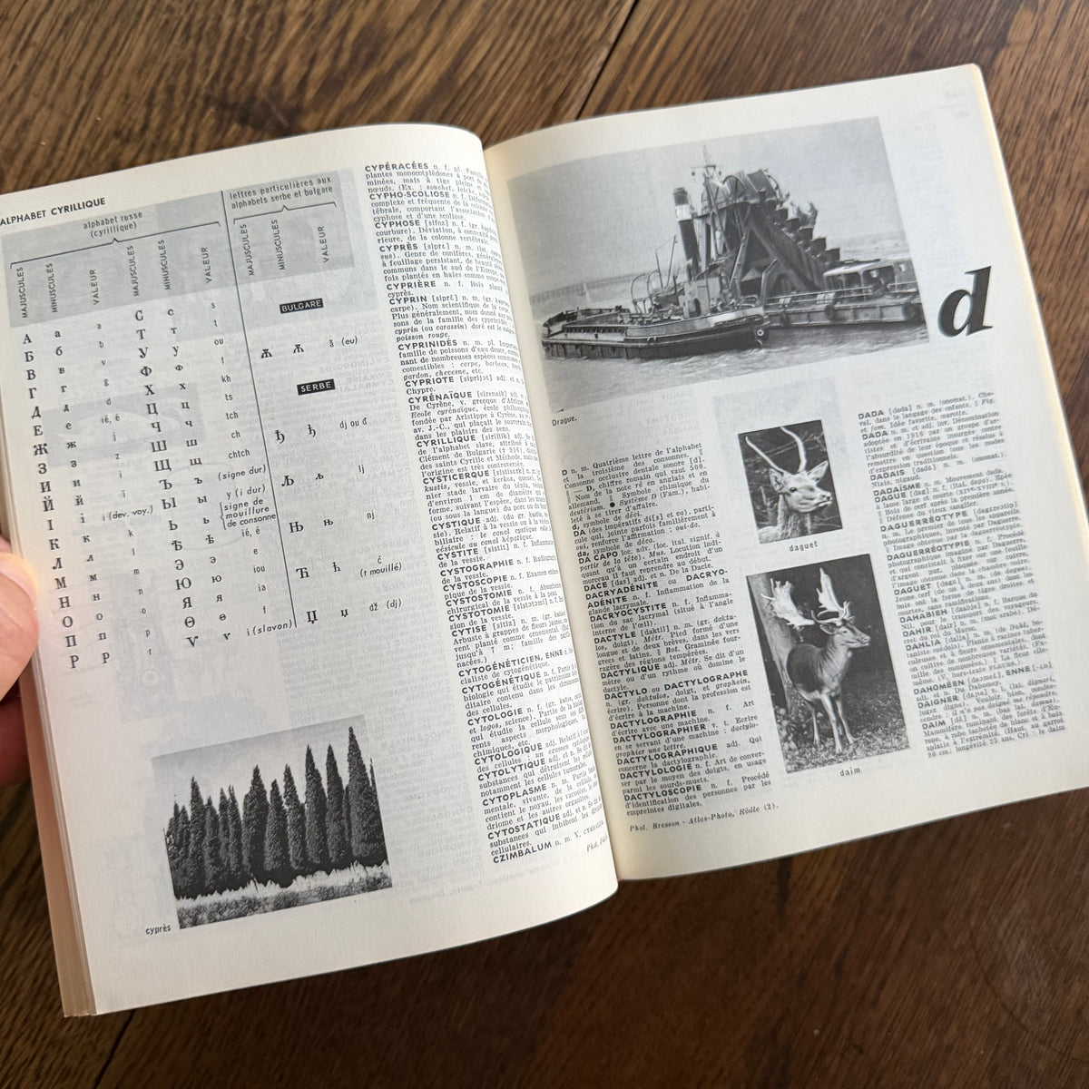 Petit Larousse Illustré, 1976 — French Encyclopedic Dictionary | 71,000 Articles, 5,535 Illustrations, Maps & Color Atlas | Librairie Larousse