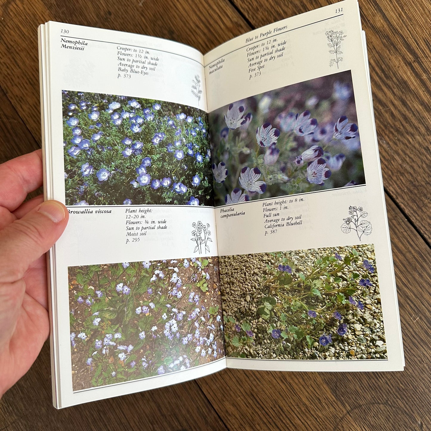 A Set of 7 Vintage Taylor’s Garden Guides!