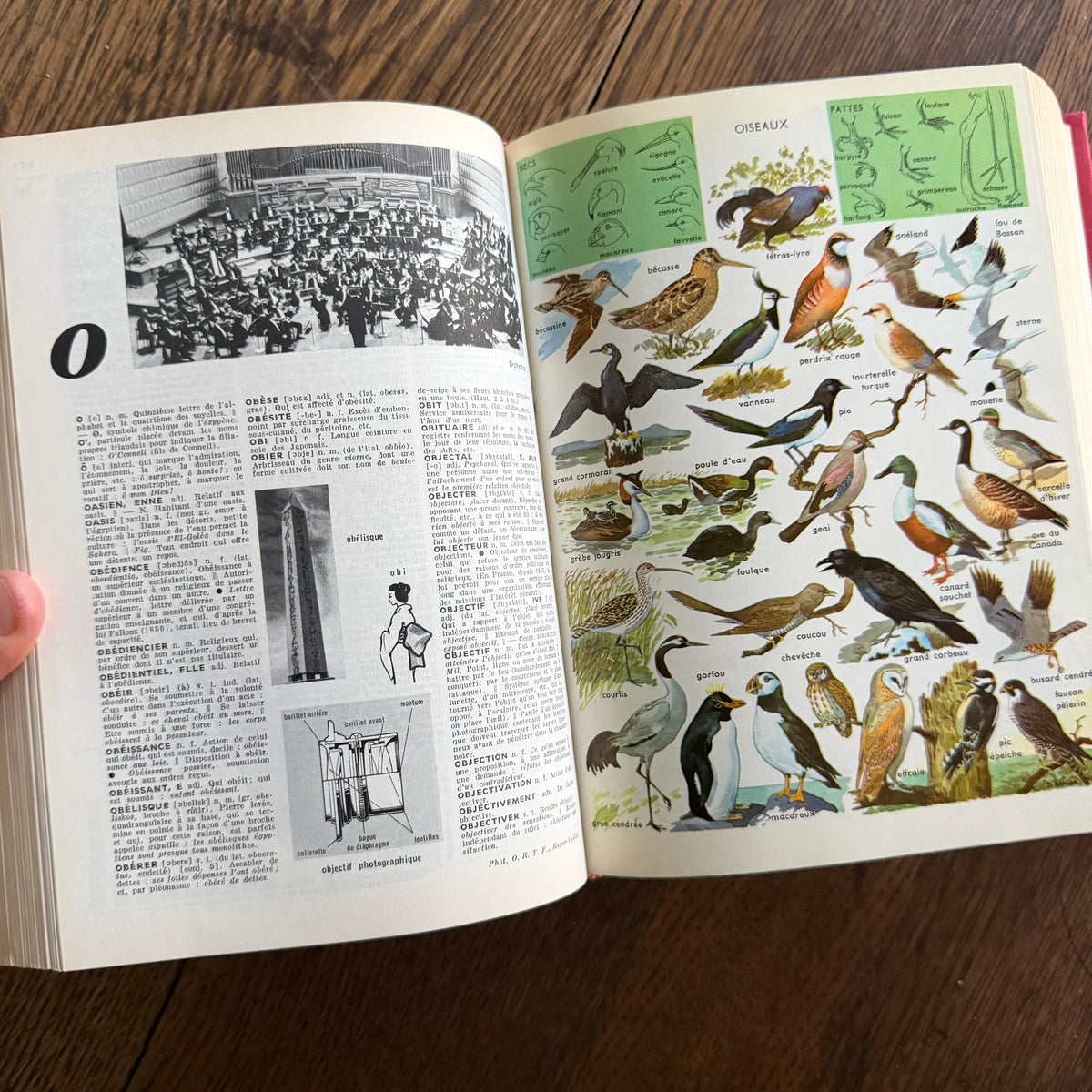 Petit Larousse Illustré, 1976 — French Encyclopedic Dictionary | 71,000 Articles, 5,535 Illustrations, Maps & Color Atlas | Librairie Larousse