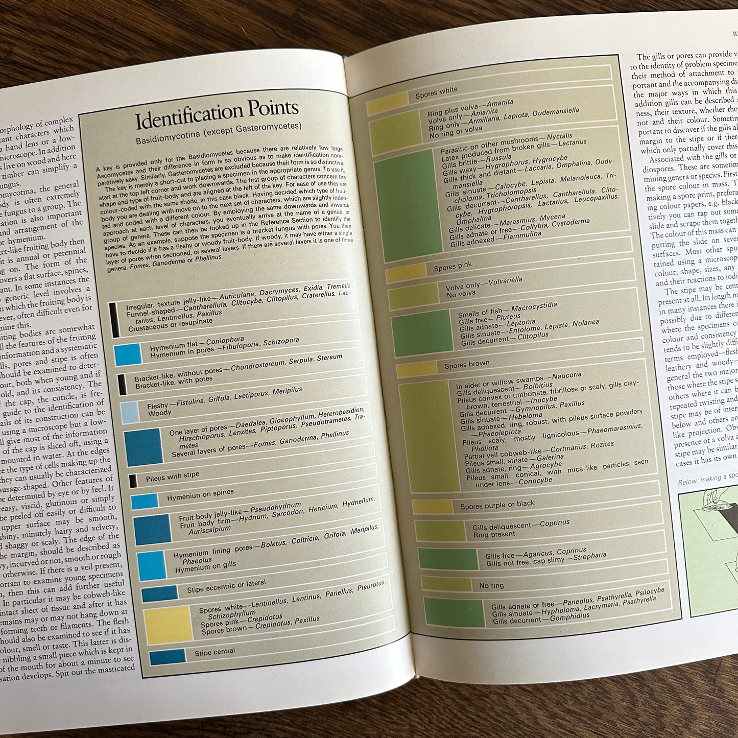 The Encyclopedia of Mushrooms, 1979