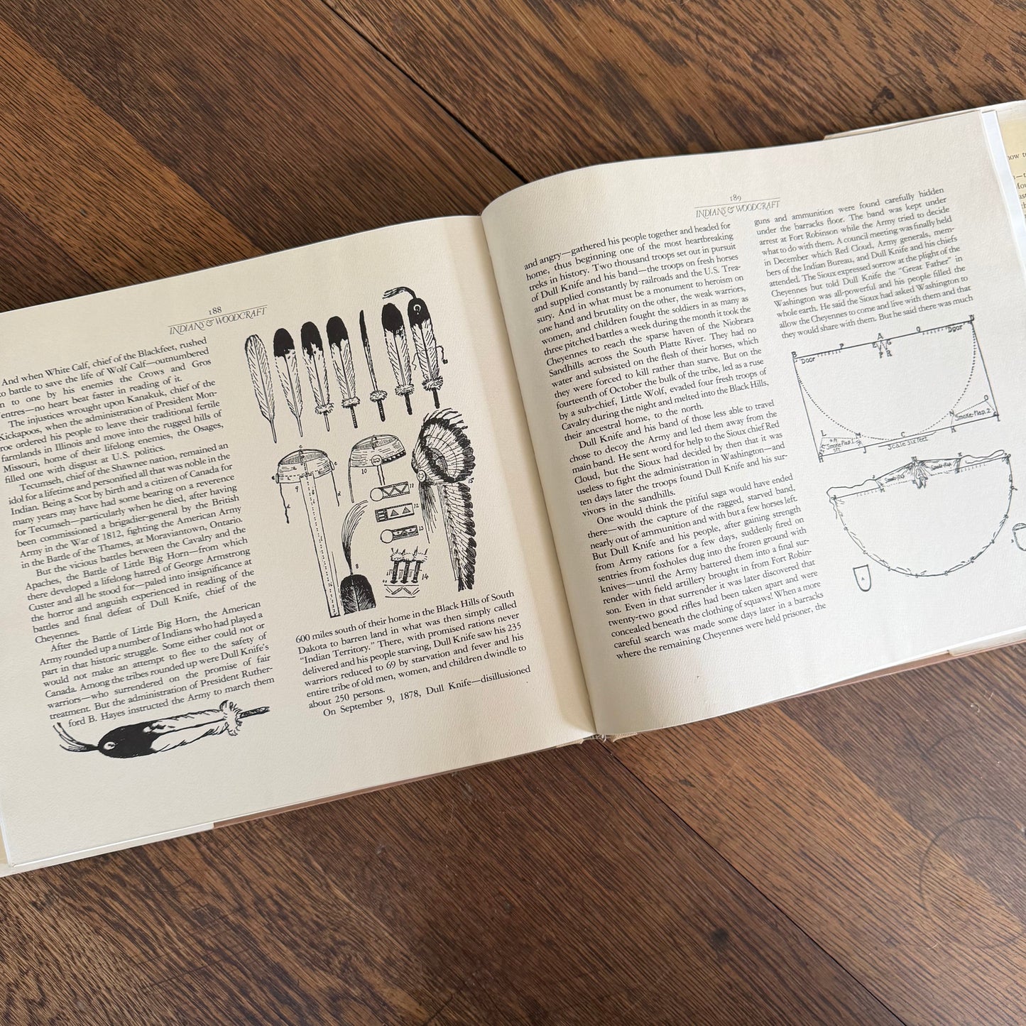 The Worlds of Ernest Thompson Seton -  1976 - First Edition - Edited by John G. Samson- Vintage Wildlife Art Nature Book