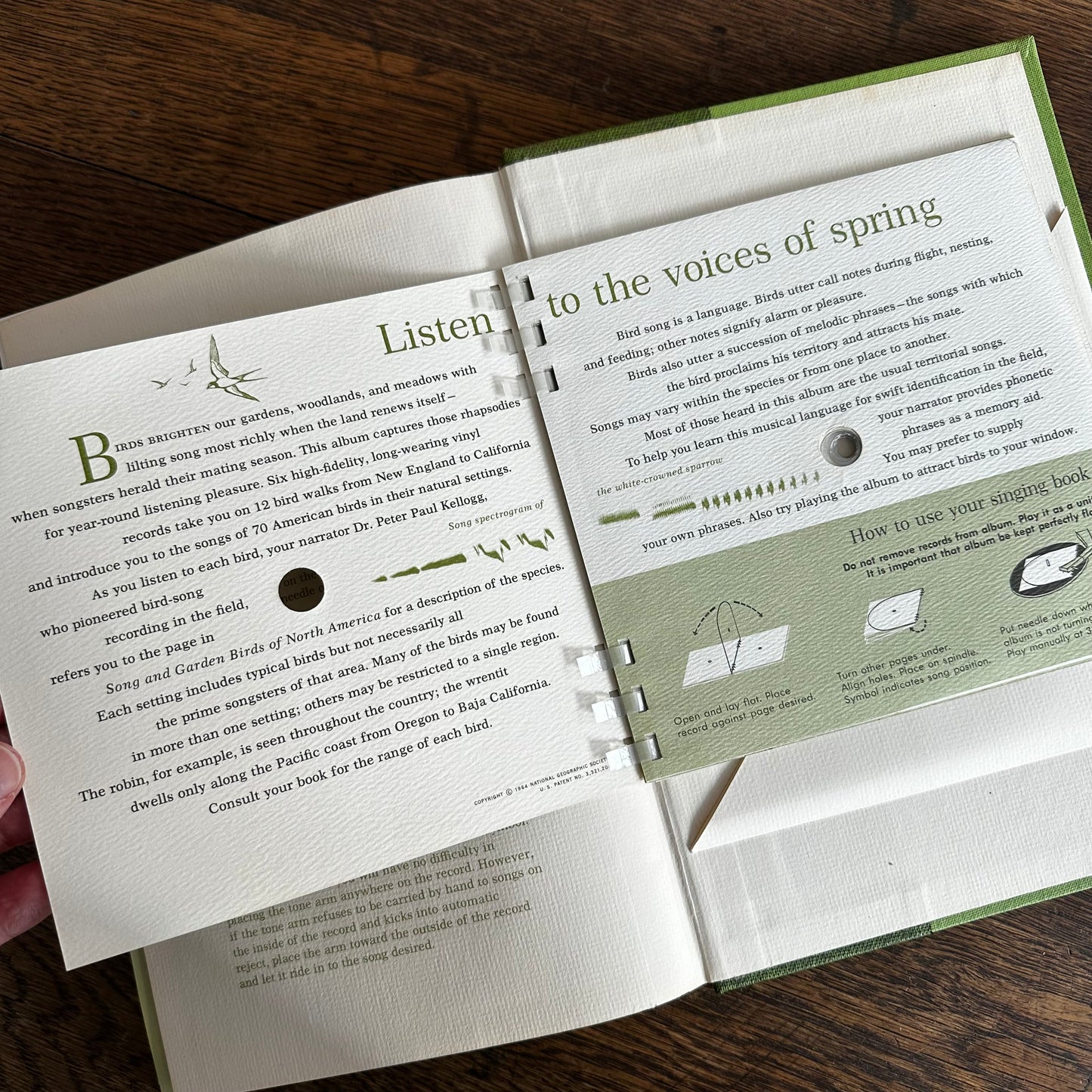 Vintage 1964 Song and Garden Birds of North America – National Geographic Society – Alexander Wetmore – Illustrated Bird Guide w/ Companion Booklet – Birdwatching Book