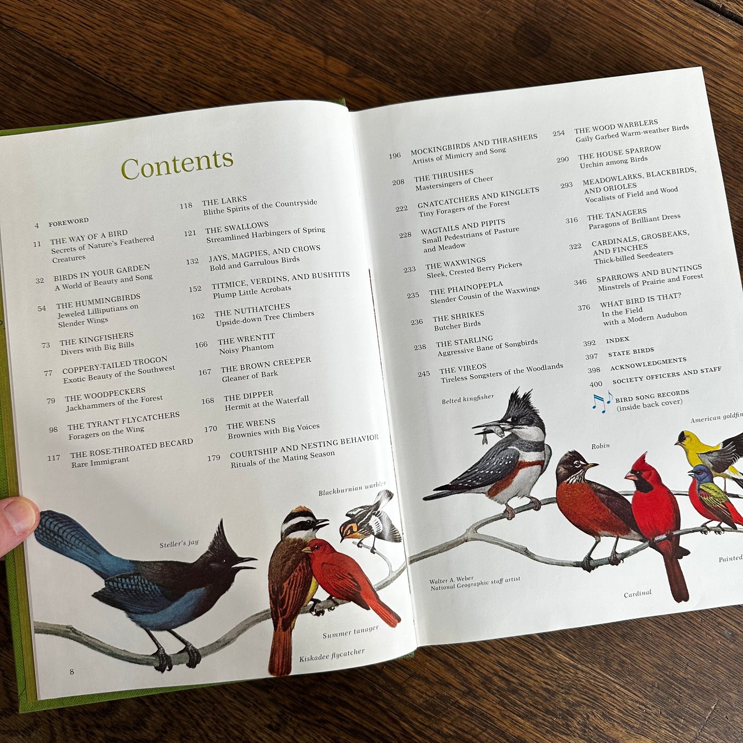 Vintage 1964 Song and Garden Birds of North America – National Geographic Society – Alexander Wetmore – Illustrated Bird Guide w/ Companion Booklet – Birdwatching Book