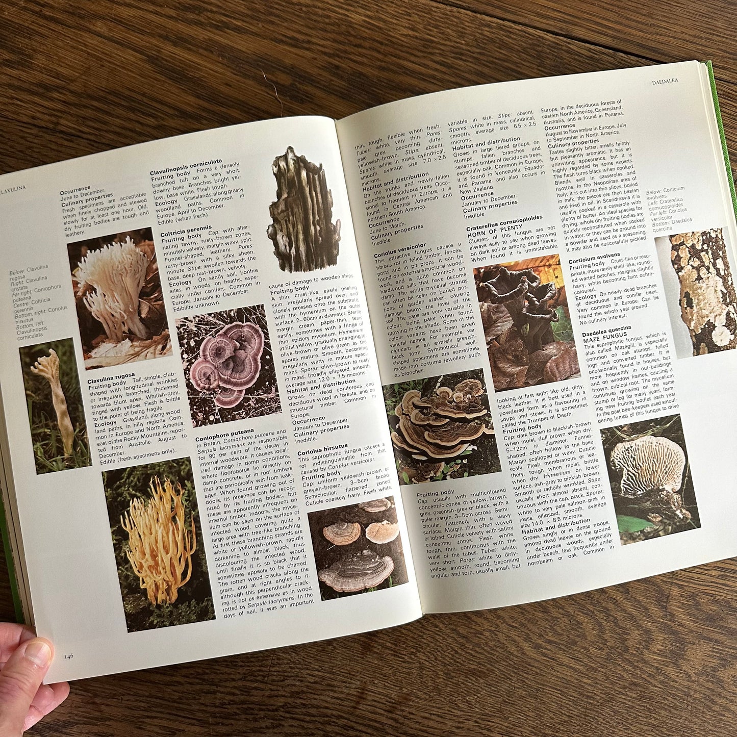 The Encyclopedia of Mushrooms, 1979