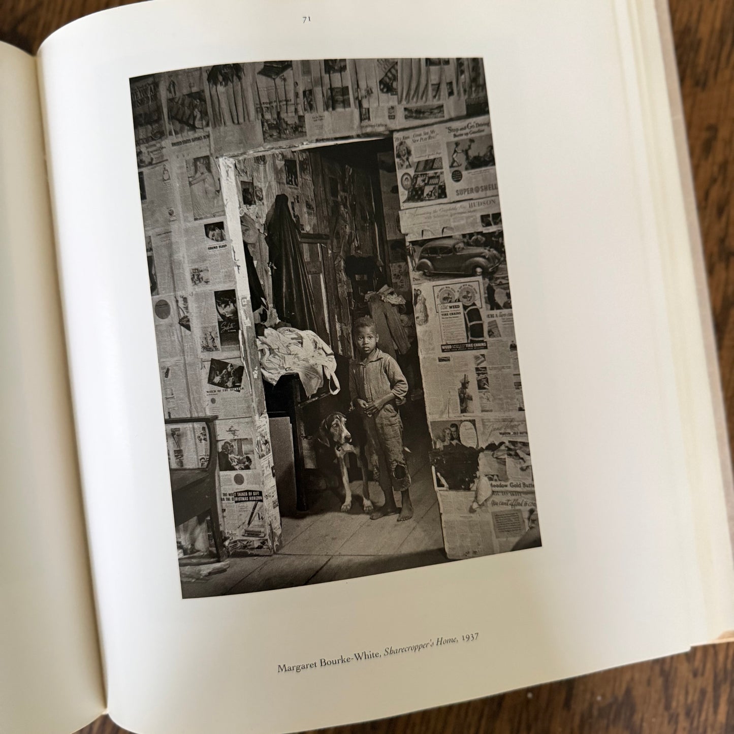 The Dog Observed: Photographs 1844-1983 by Ruth Silverman - Vintage Dog Photography Book