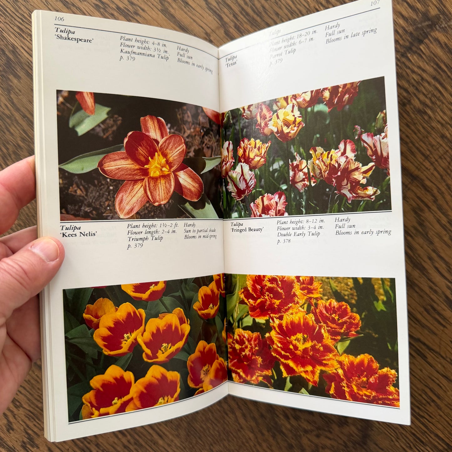 Taylor’s Guides to Gardening Set of 10 | Houghton Mifflin 1986–1996 | Bulbs Roses Herbs Houseplants Garden Design | Vintage Gardening Books