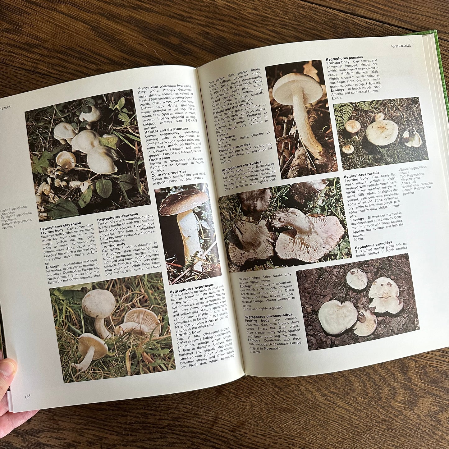 The Encyclopedia of Mushrooms, 1979