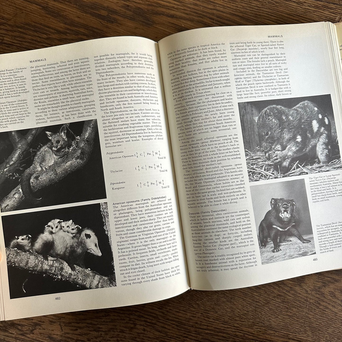 The Larousse Encyclopedia of Animal Life - 1967