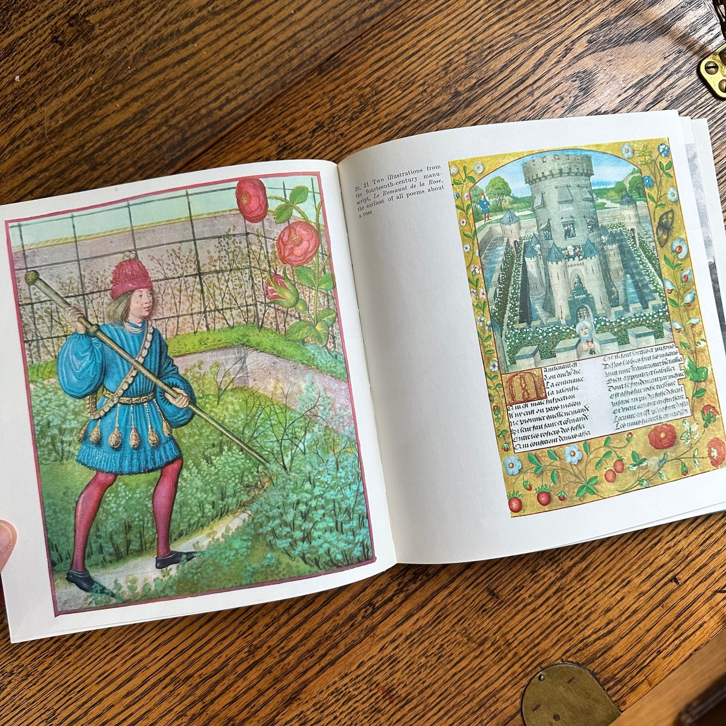 Peter Coats’ Roses: Pleasures and Treasures - 1962