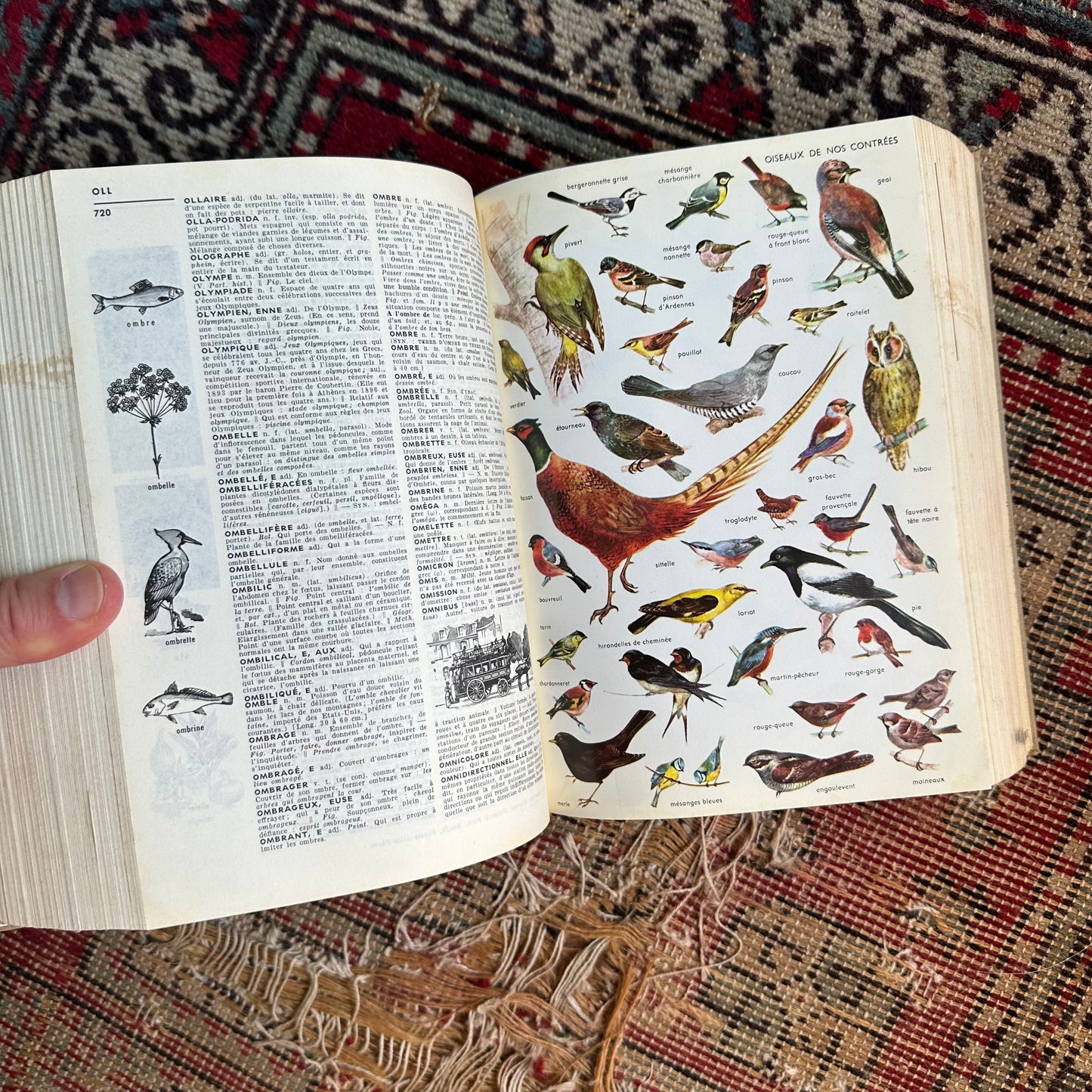 Petit Larousse French Encyclopedic Dictionary - 1967