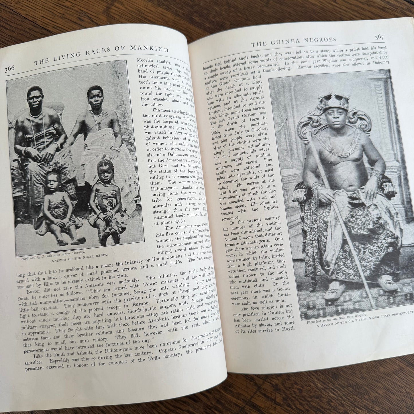 1908 Standard Library of Natural History Set | Antique Zoology Ethnography Books | Living Animals of the World | University Society NY
