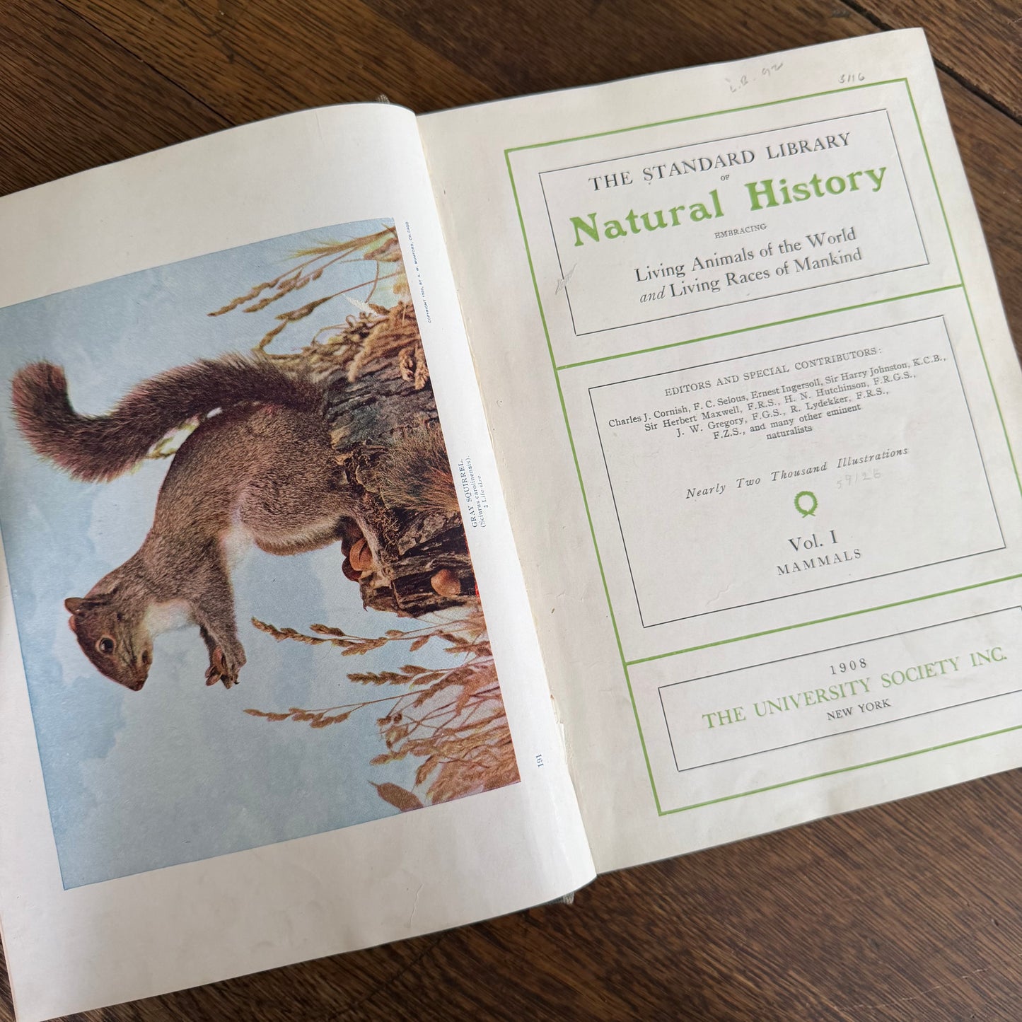1908 Standard Library of Natural History Set | Antique Zoology Ethnography Books | Living Animals of the World | University Society NY