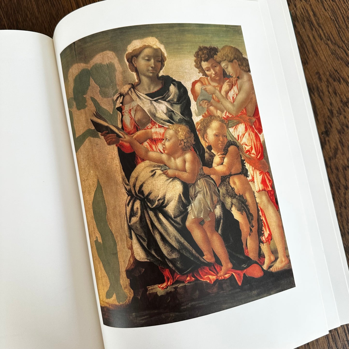 Michelangelo: The Painter by Valerio Mariani | Vintage 1964 Art Book | Harry N. Abrams Fine Art Monograph