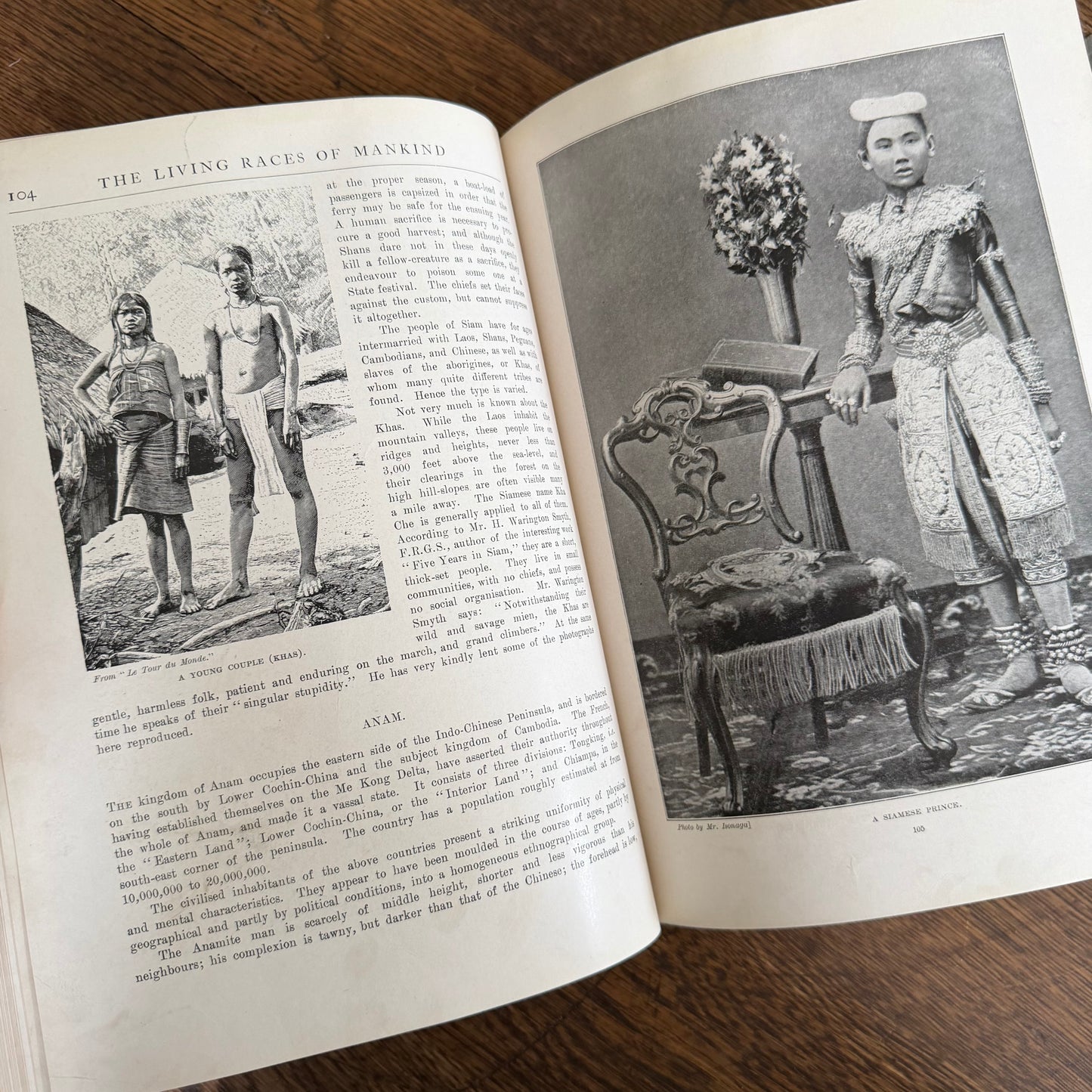 1908 Standard Library of Natural History Set | Antique Zoology Ethnography Books | Living Animals of the World | University Society NY