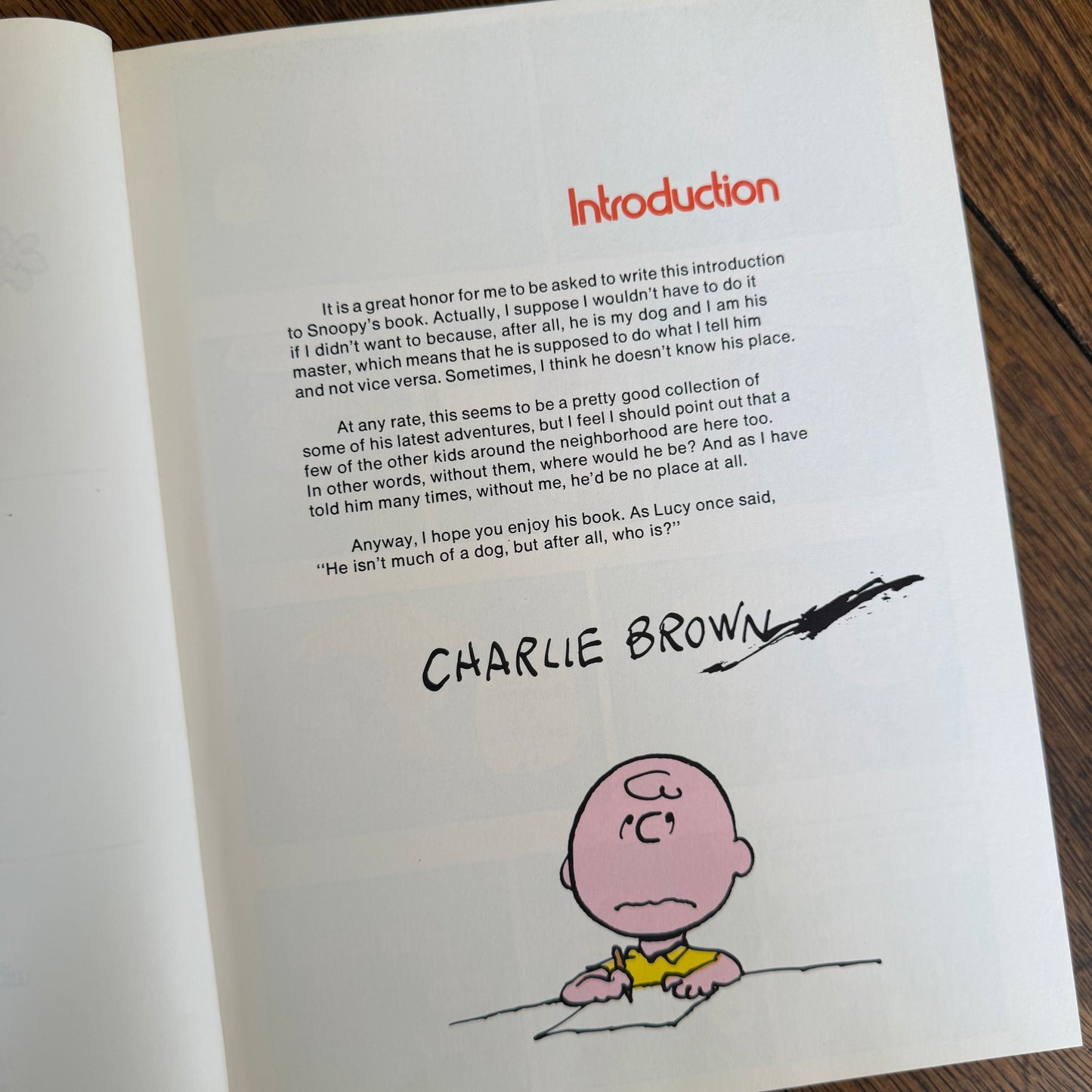 The Snoopy Festival by Charles M. Schulz 1974, Vintage Peanuts & Charlie Brown Coffee Table Book, Holt Rinehart Winston