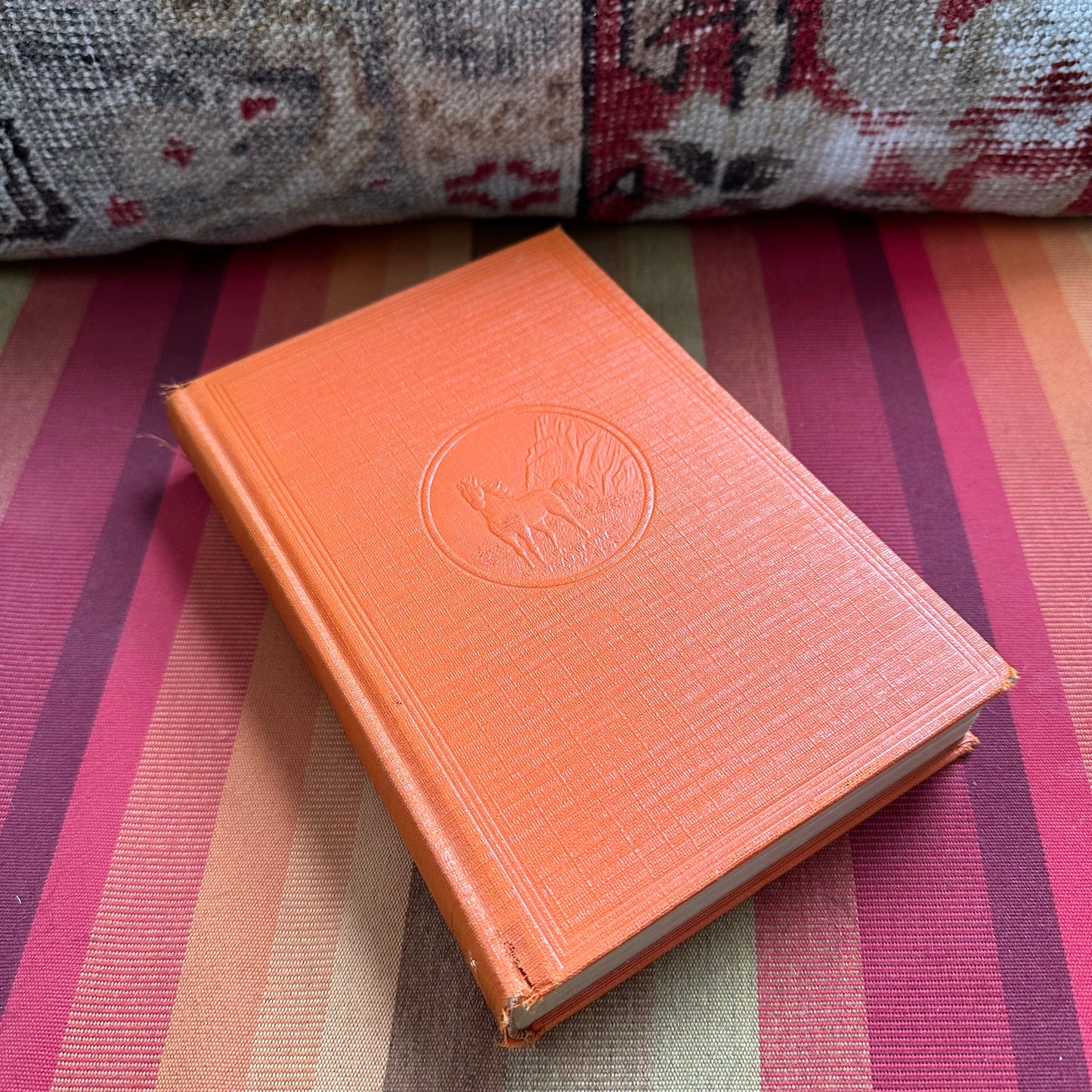 Stack of 9 Vintage Books in Orange!