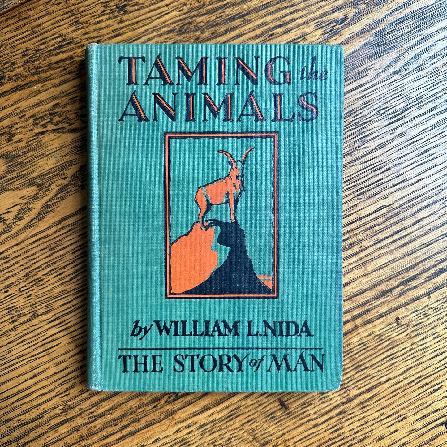 A Stack of 9 Vintage Illustrated Books for Kids