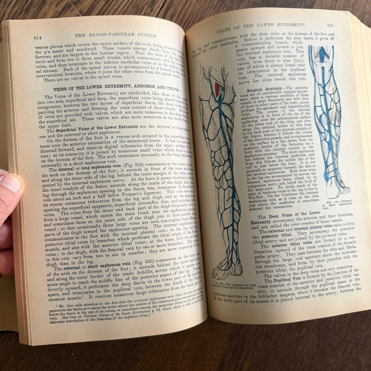 Gray’s Anatomy, 1977 Classic Collector’s Edition — Henry Gray, Descriptive & Surgical Anatomy | Bounty Books Hardcover, 780 Illustrations