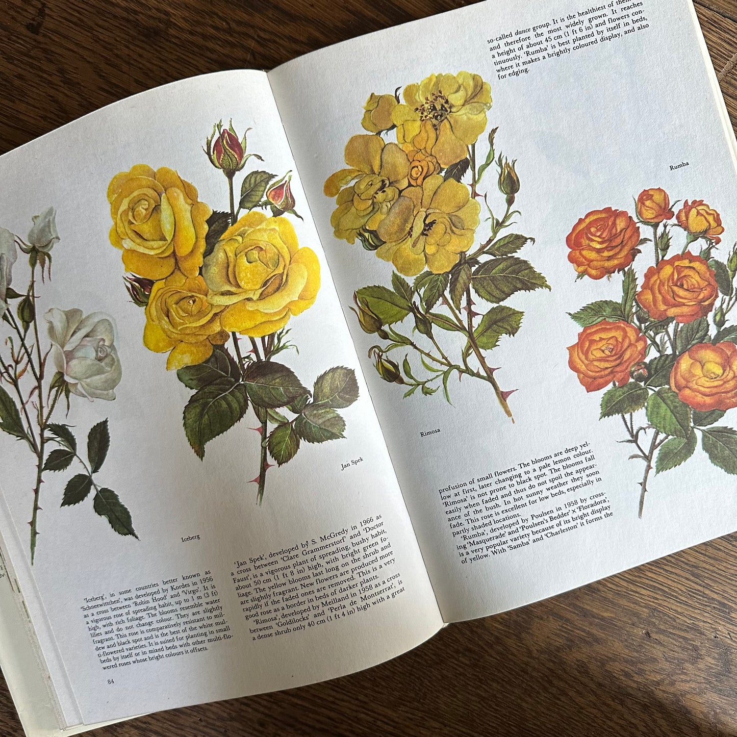 The Garden Flowers Book, 1986