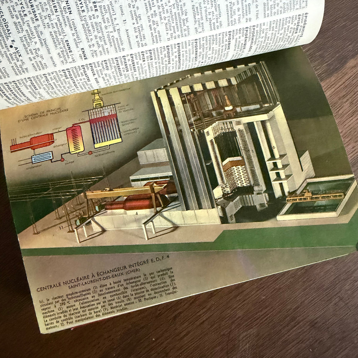 Petit Larousse Illustré, 1976 — French Encyclopedic Dictionary | 71,000 Articles, 5,535 Illustrations, Maps & Color Atlas | Librairie Larousse