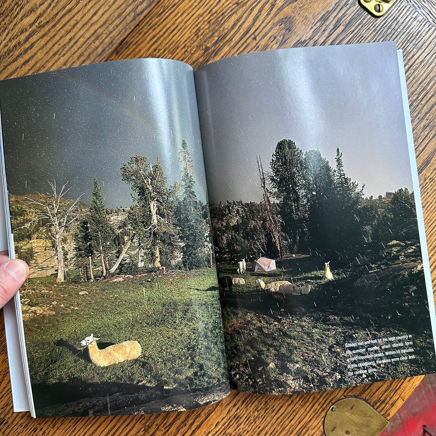 Stack of 6 Vintage NatGeo Coffee Table Books in Silver, White, and Black