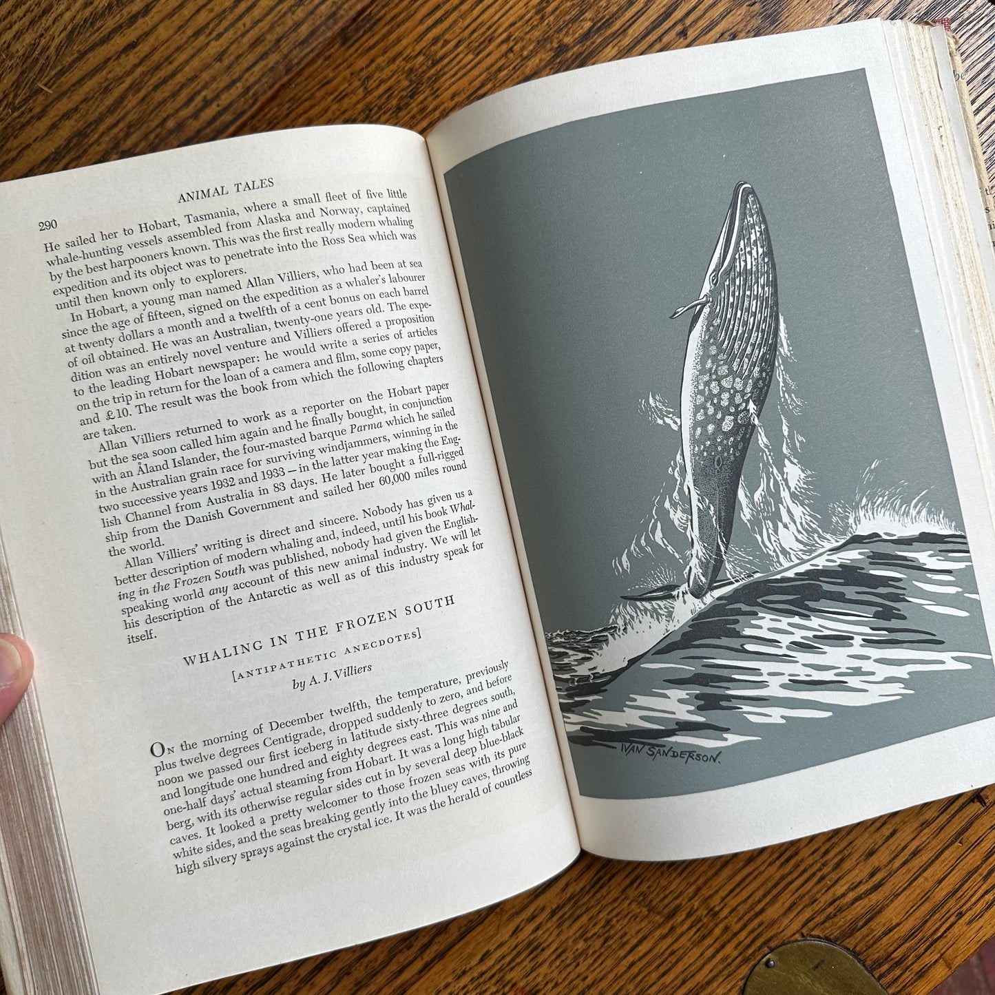 A Stack of 9 Vintage Illustrated Books for Kids