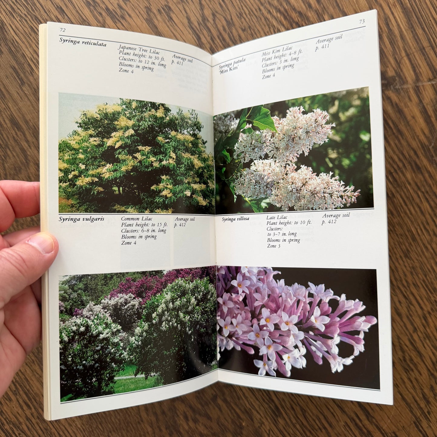 Taylor’s Guides to Gardening Set of 10 | Houghton Mifflin 1986–1996 | Bulbs Roses Herbs Houseplants Garden Design | Vintage Gardening Books
