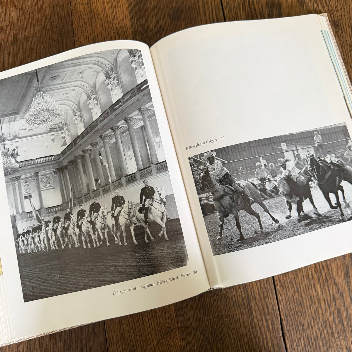 The World’s Finest Horses and Ponies - 1971 Vintage Coffee Table Book by Richard Glyn with Photos from Sally Anne Thompson