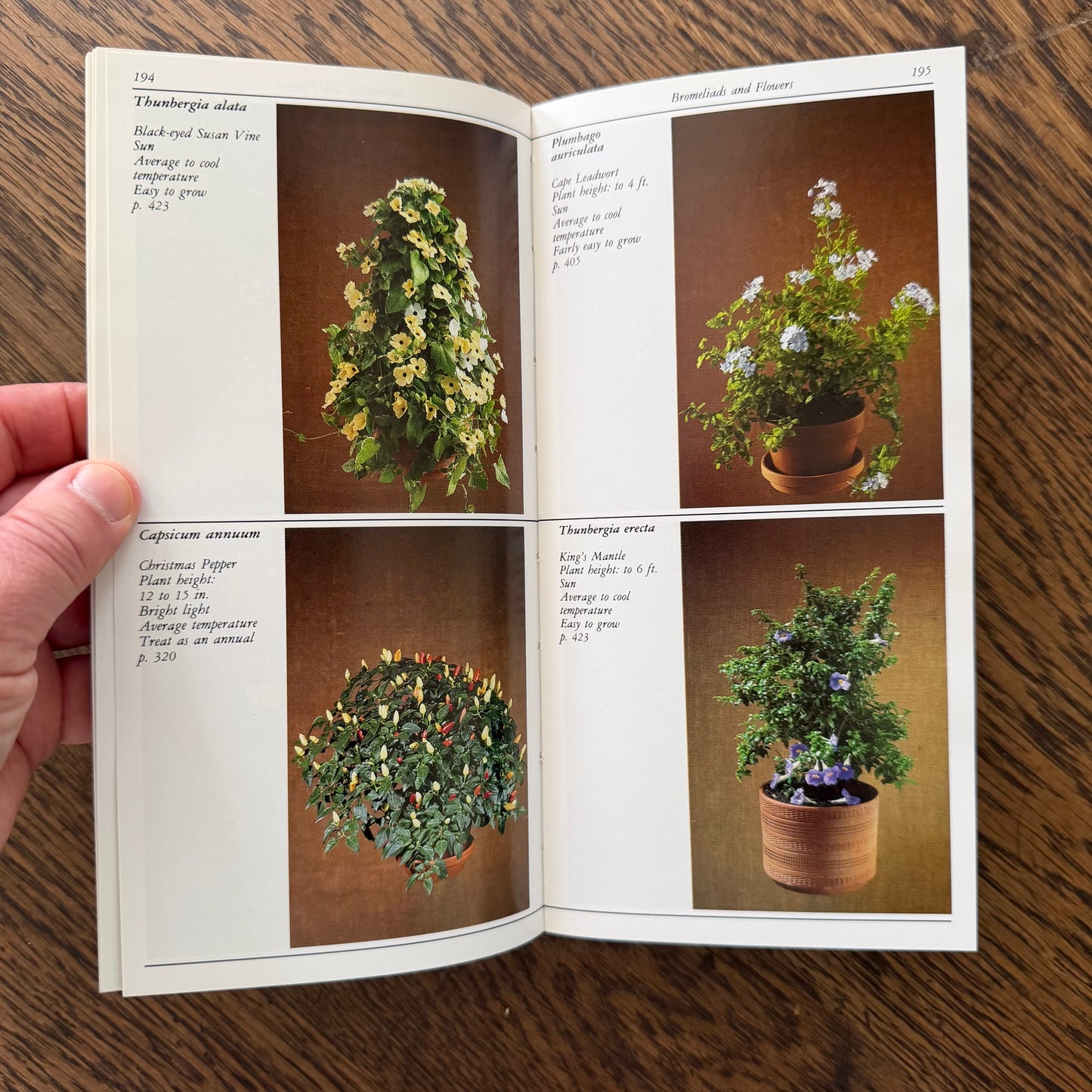 Taylor’s Guides to Gardening Set of 10 | Houghton Mifflin 1986–1996 | Bulbs Roses Herbs Houseplants Garden Design | Vintage Gardening Books