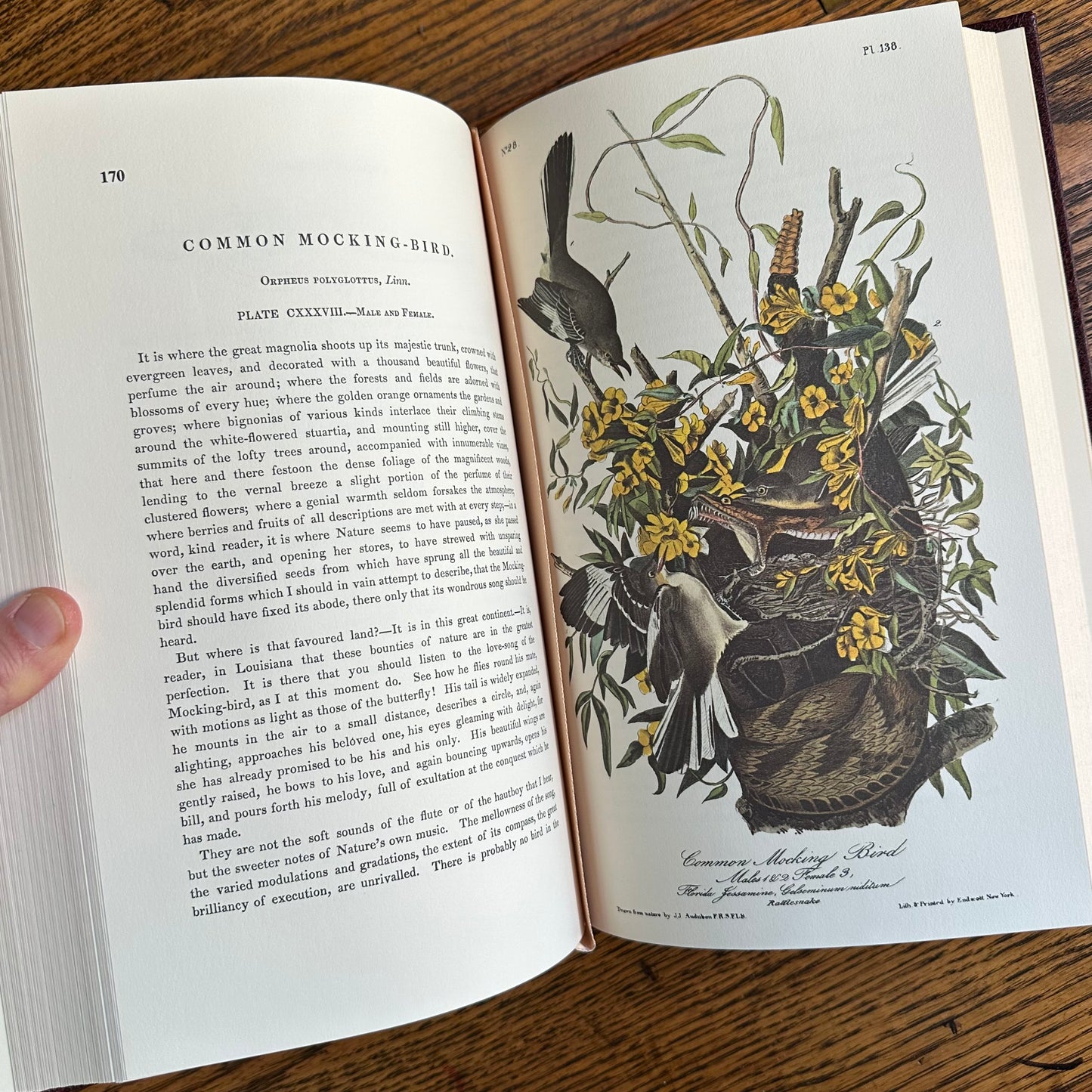 Set of 2 Slipcovered Volair Limited Editions of John James Audubon’s Classics - 1977