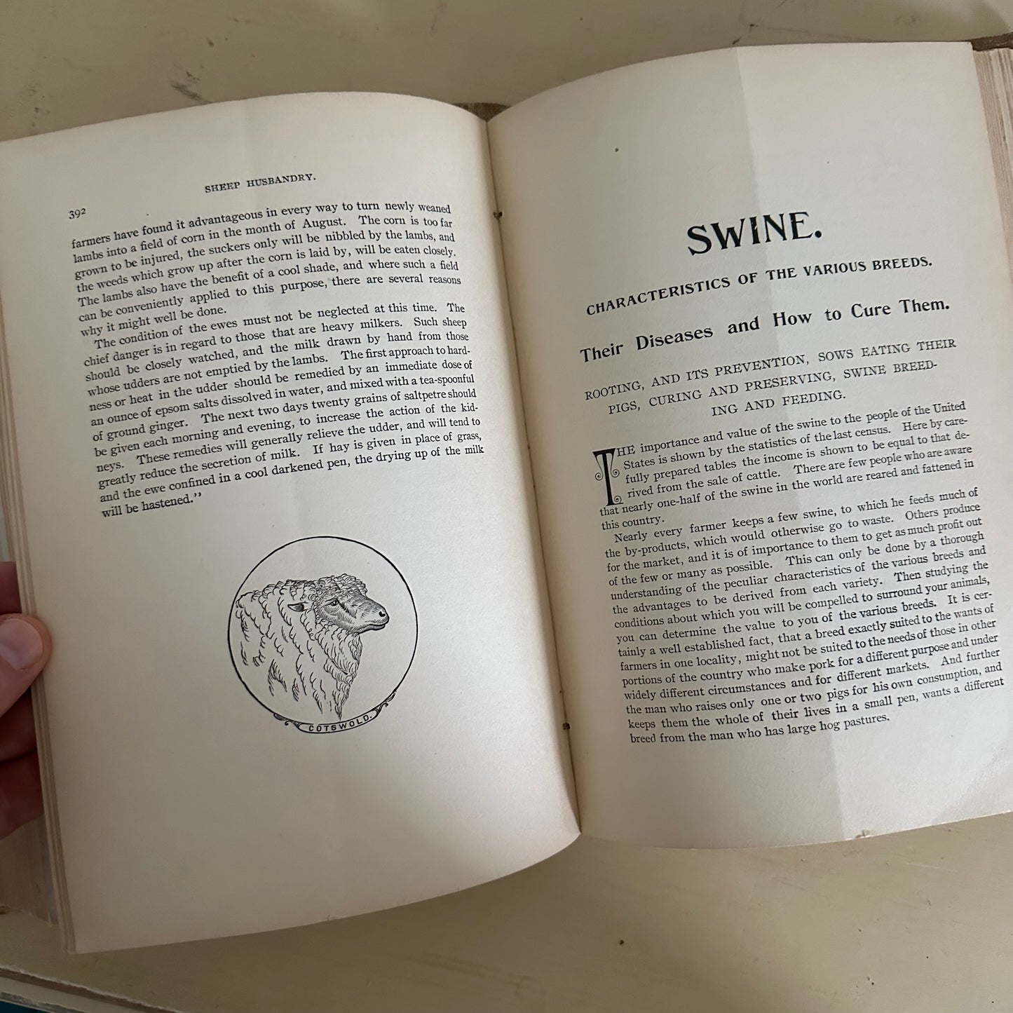 Hand-Book of Ready Reference for Farmers & Homesteaders - 1897