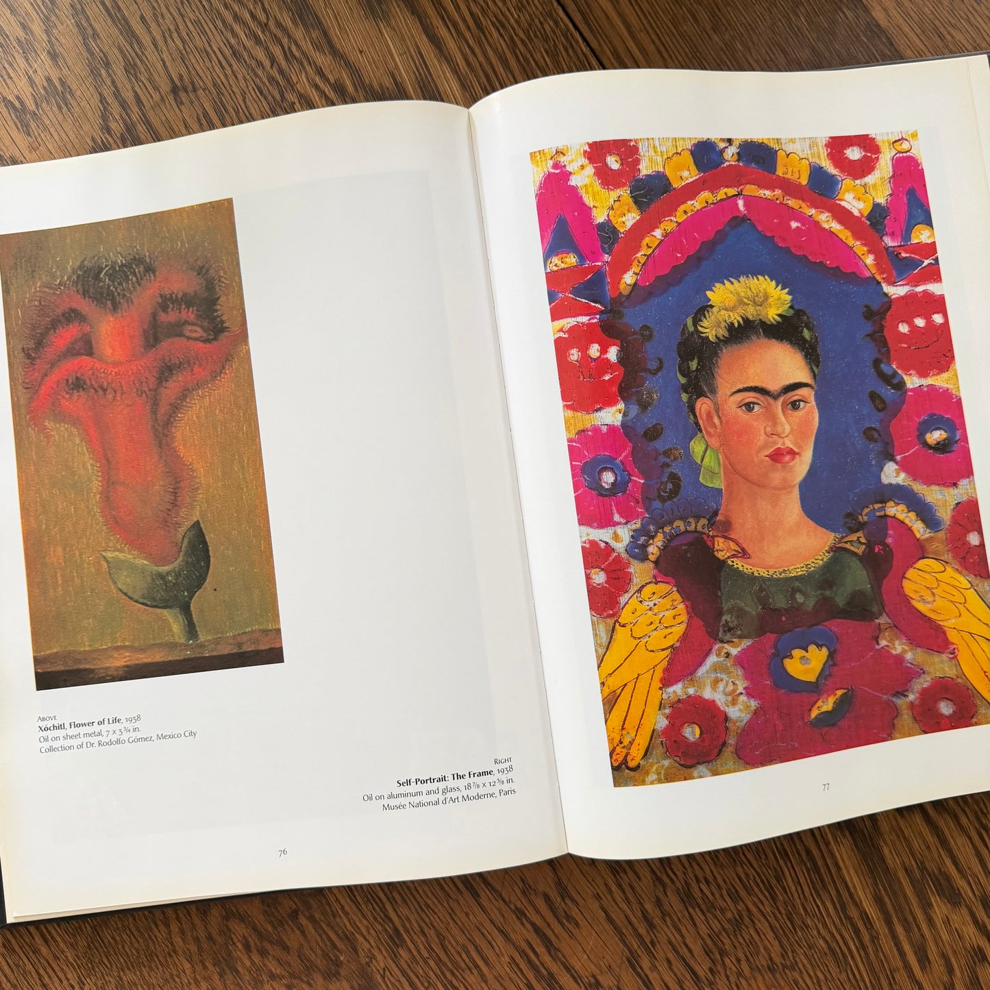 Frida Kahlo by Salomon Grimberg | Oversized Art Book | Hardcover with Dust Jacket | 2004 | Mexican Artist Biography | Illustrated