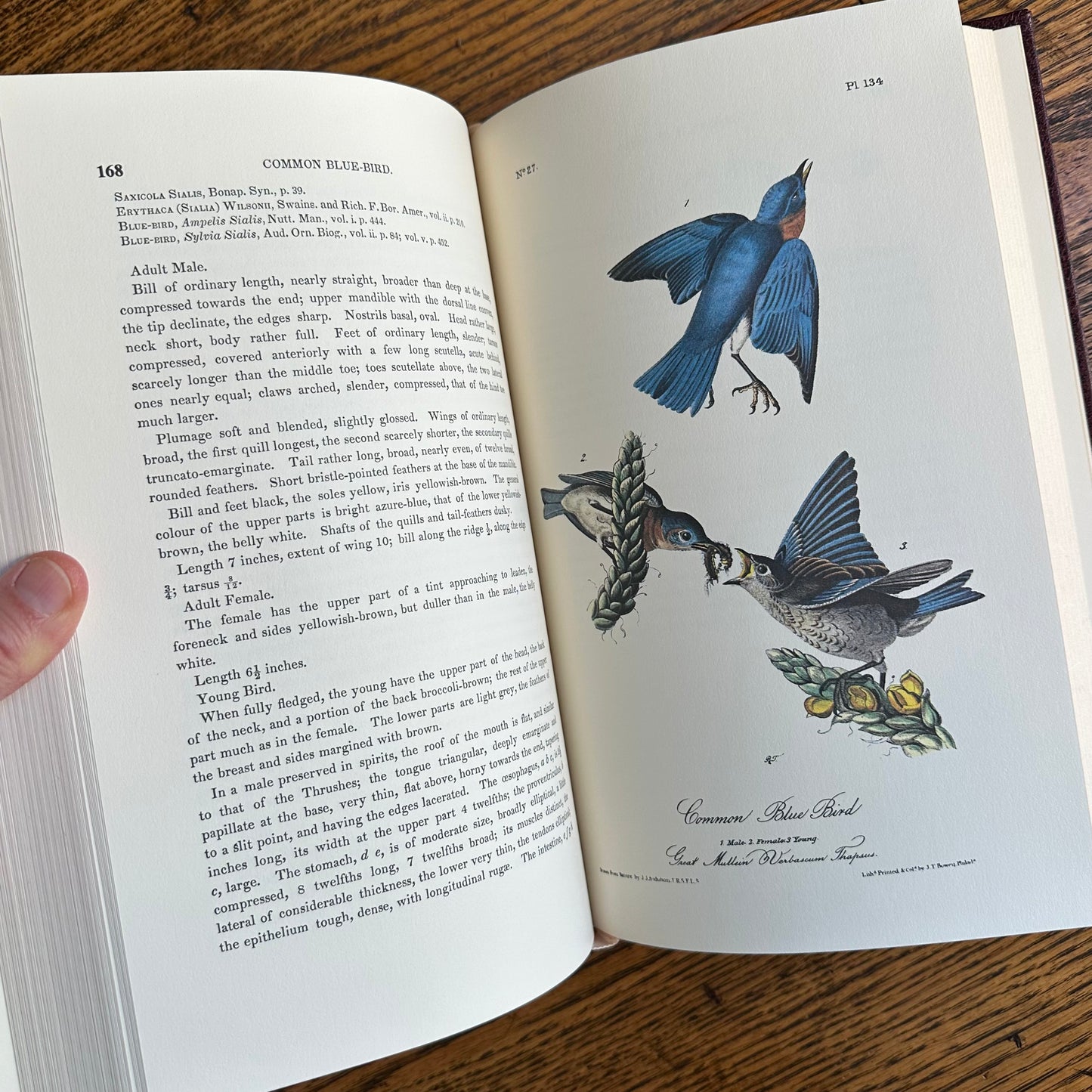Set of 2 Slipcovered Volair Limited Editions of John James Audubon’s Classics - 1977