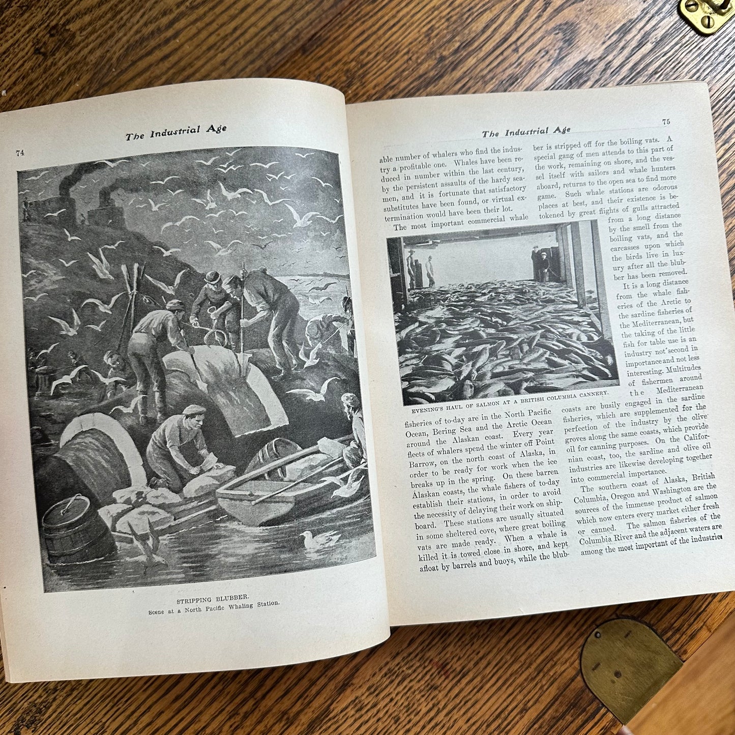 The World’s Triumphant Knowledge and Works - 1902