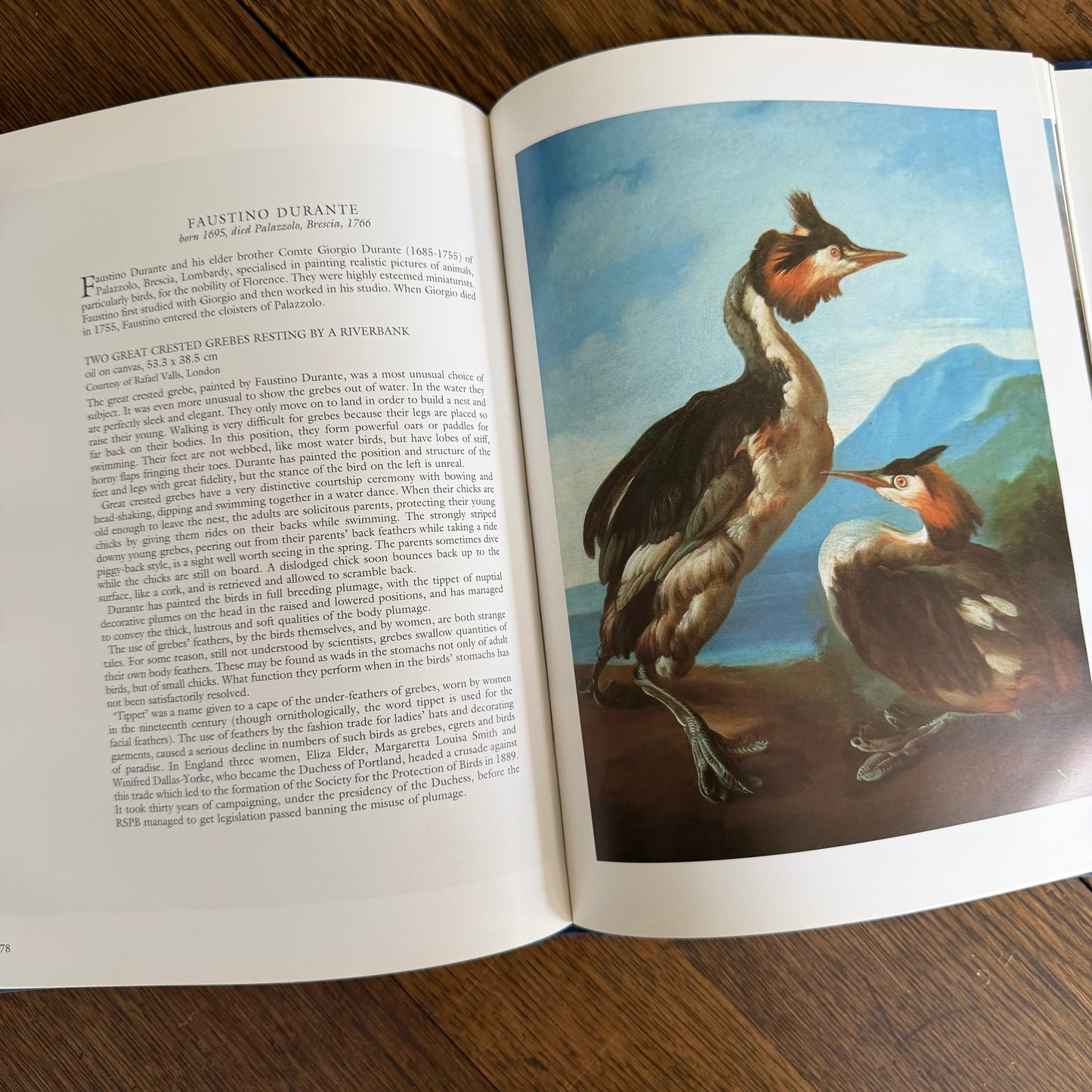 Bird Painting - The Eighteenth Century by Christine E Jackson, 1994: Antique Collectors Club, Vintage Coffee Table Book
