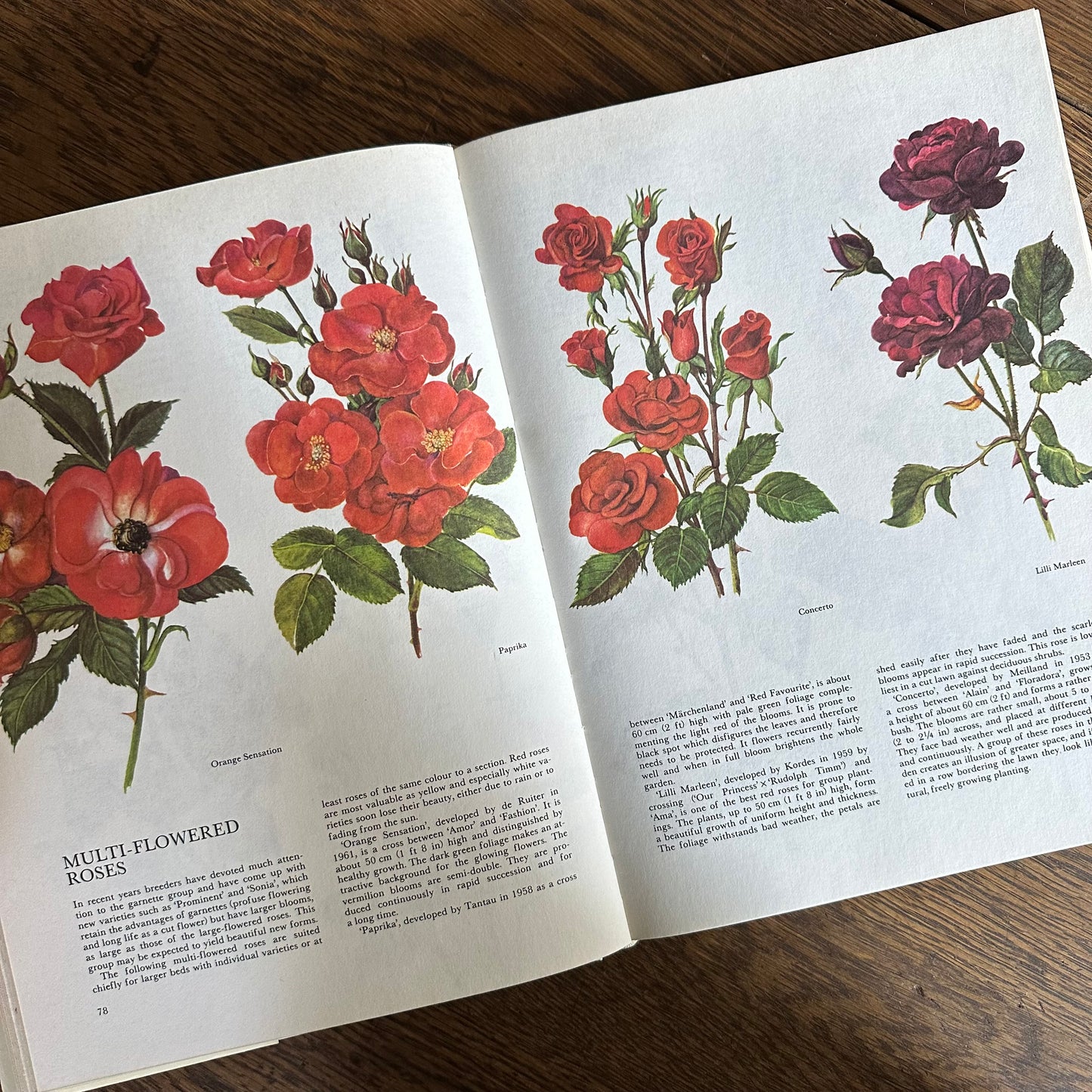 The Garden Flowers Book, 1986