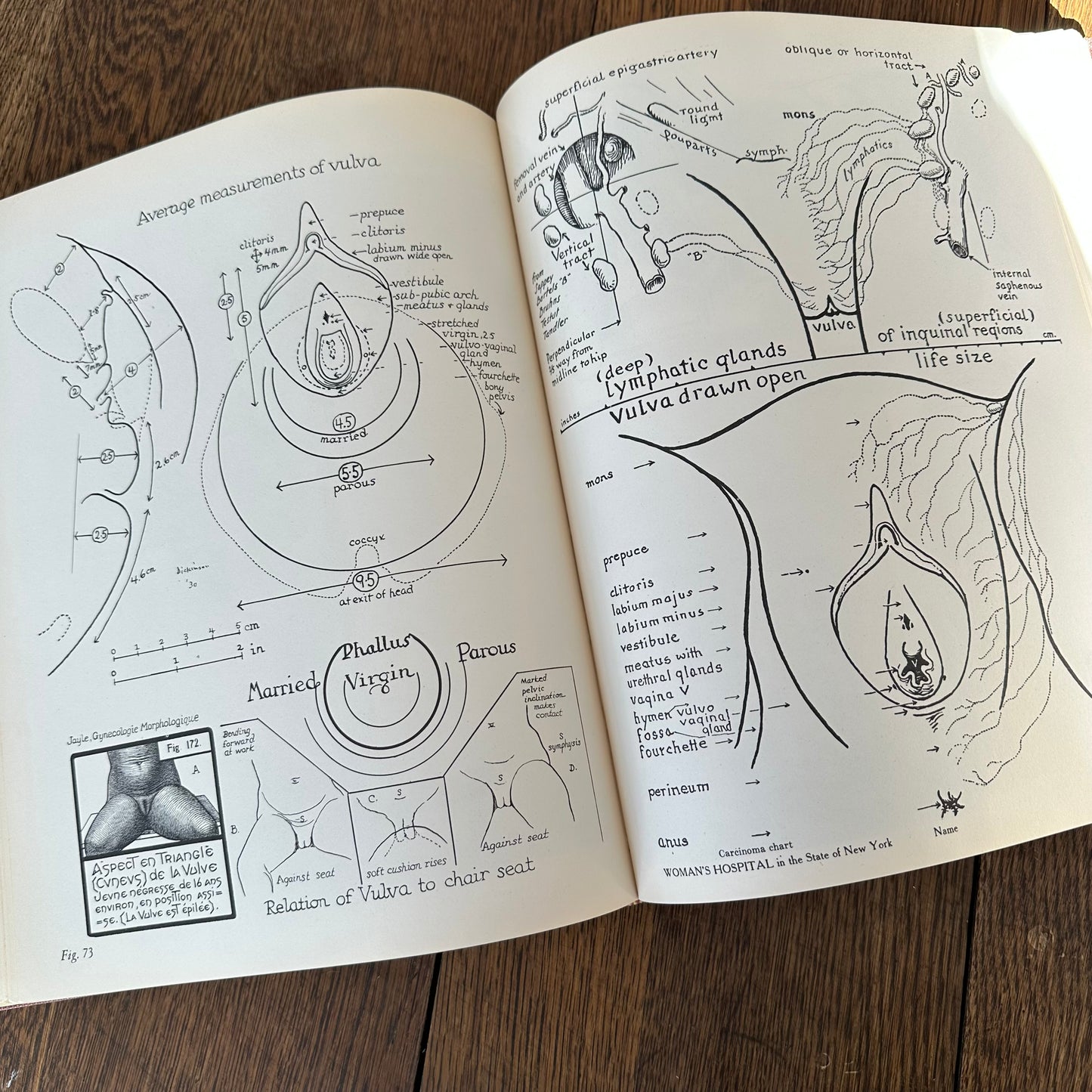 Human Sex Anatomy: A Topographical Hand Atlas, 1949