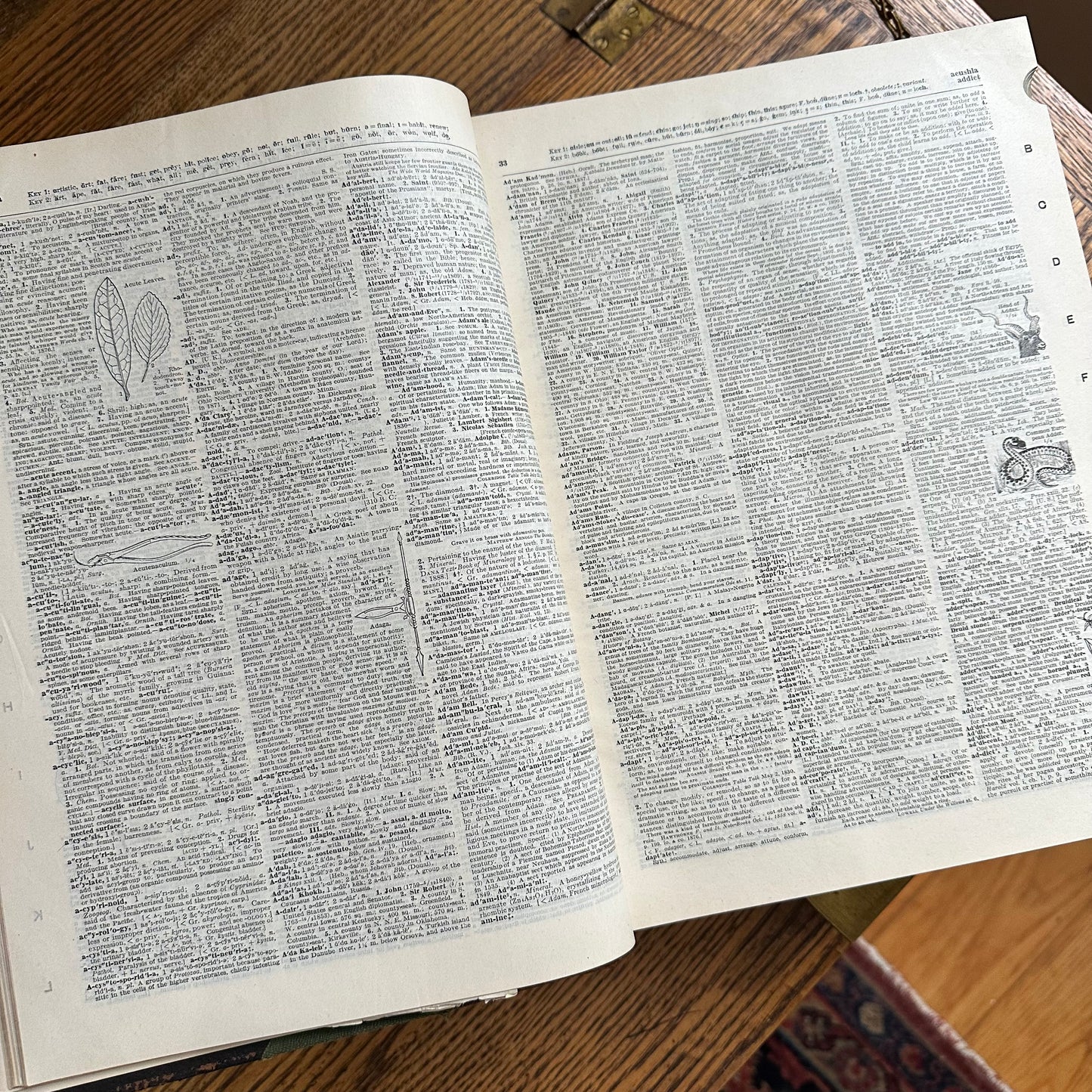 Funk & Wagnalls New Standard Dictionary - 1913