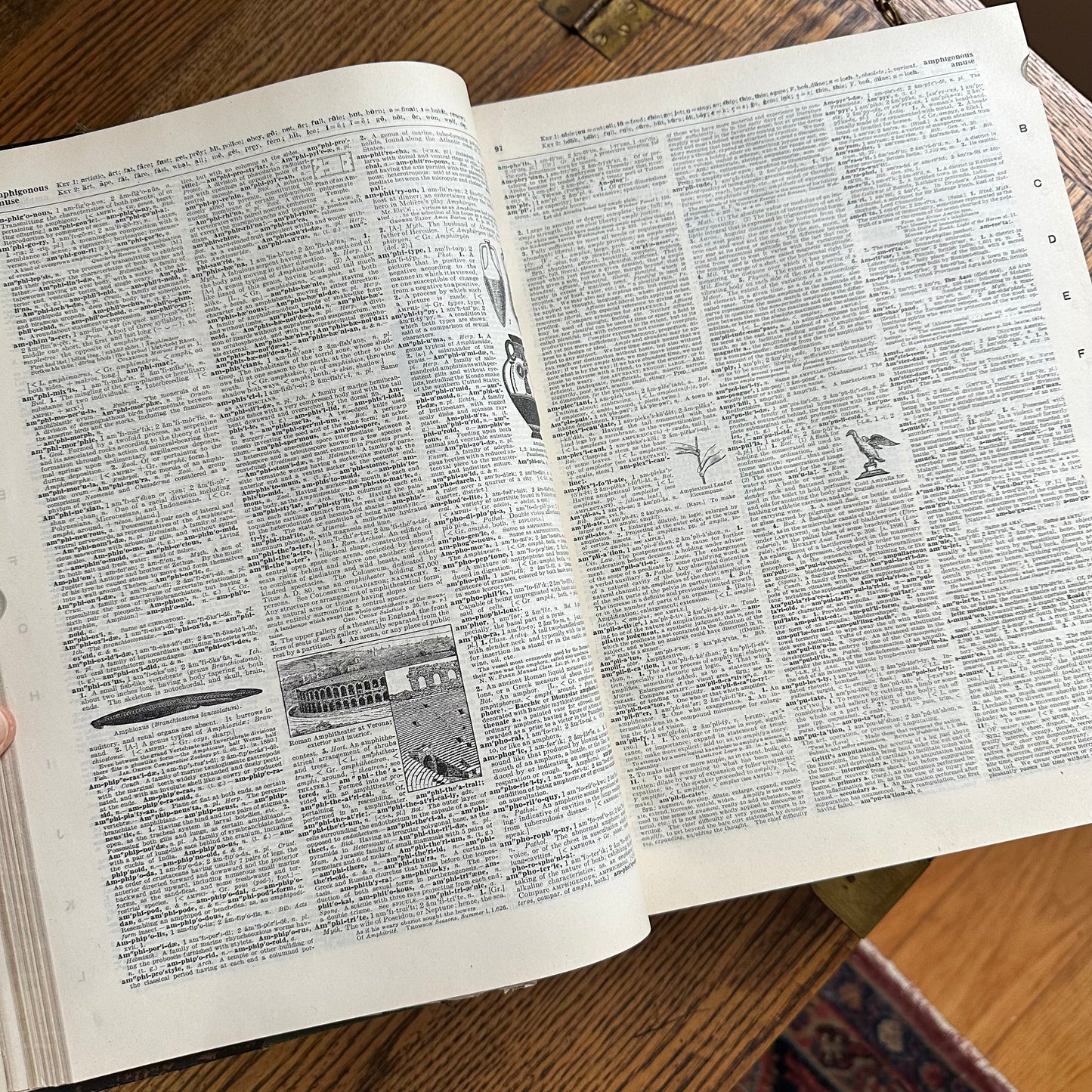 Funk & Wagnalls New Standard Dictionary - 1913