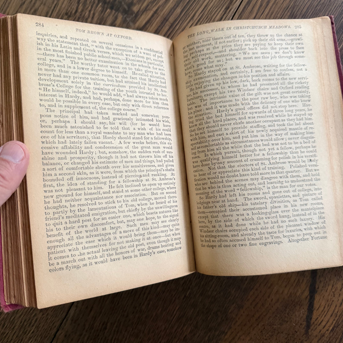 8 Antique Books, Victorian Literature & Children’s Classics — 1874–1888+ | Stowe, Hugo, Abbott, Hood, Beecher & More | Pretty & Seasonal Brown & Red Bindings