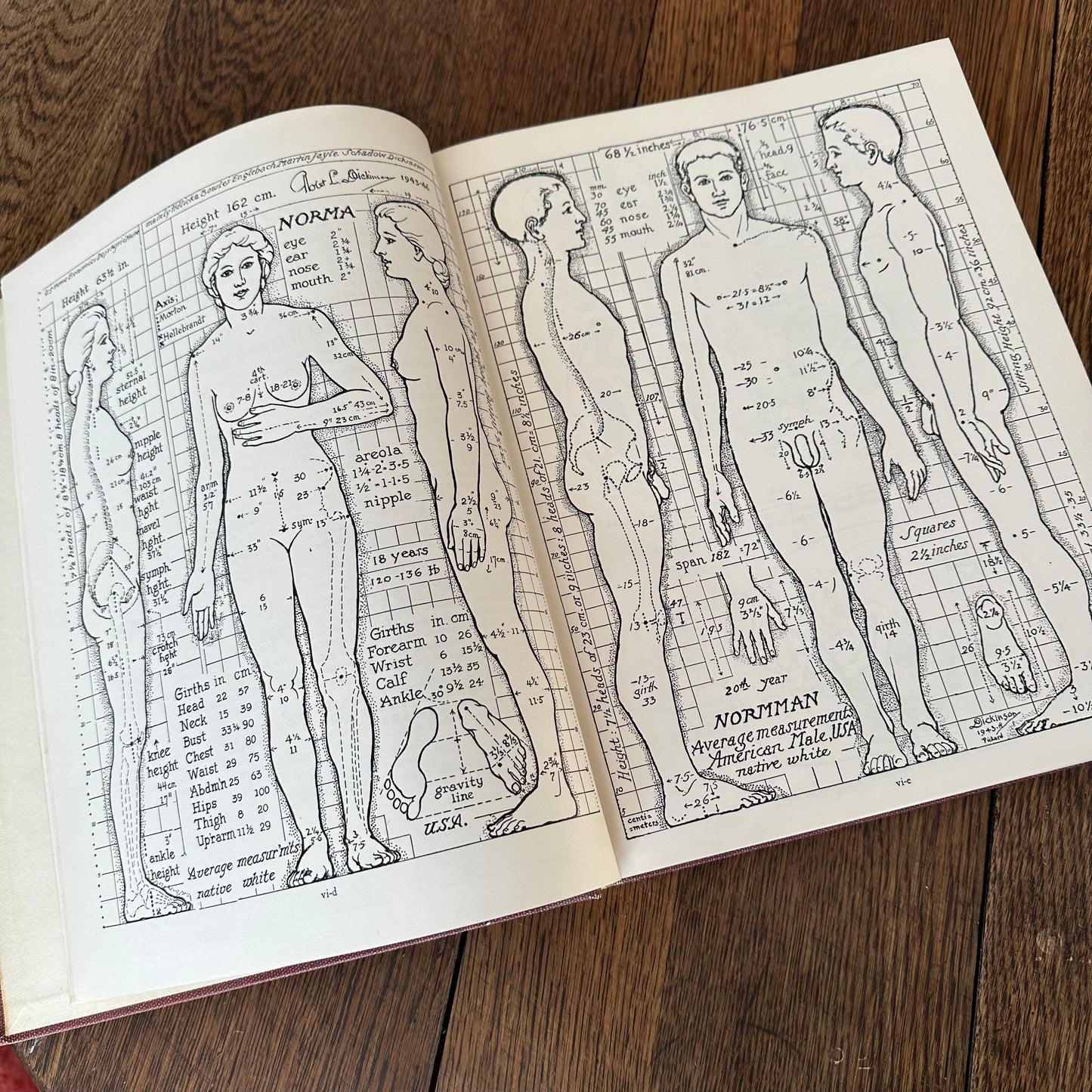 Human Sex Anatomy: A Topographical Hand Atlas, 1949