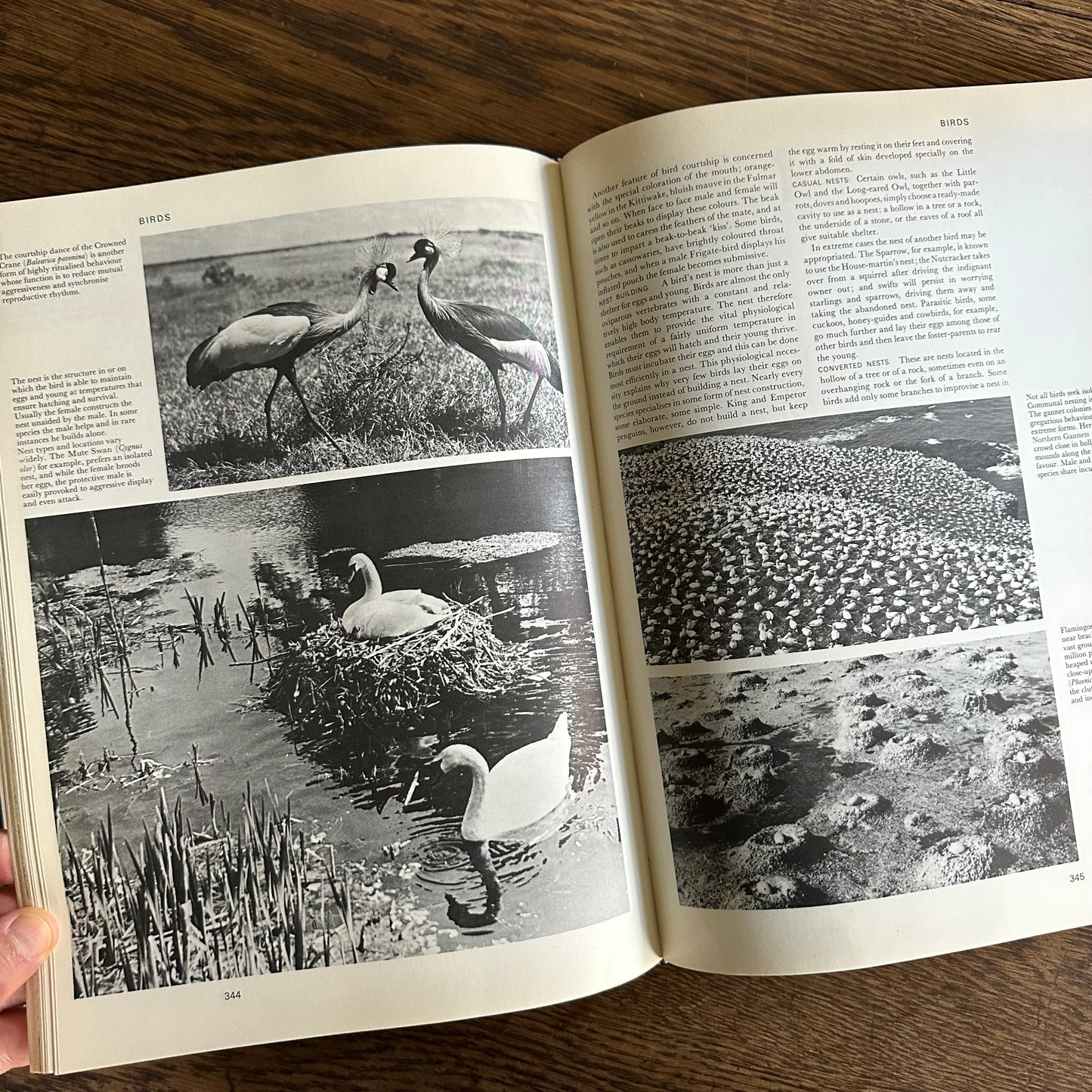 The Larousse Encyclopedia of Animal Life - 1967