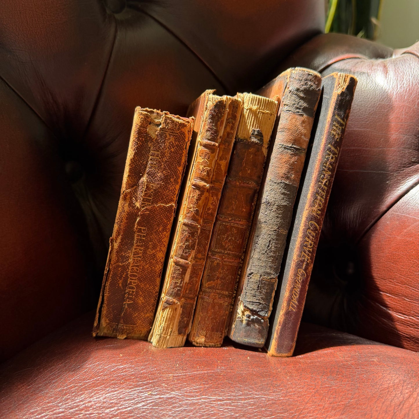 Antique Leather Bound Books Set of 5 | 1700s–1900s Decor Collection | Tristram Shandy 1772 | Fielding 1782 | Crandall 1909 | Apothecary Book