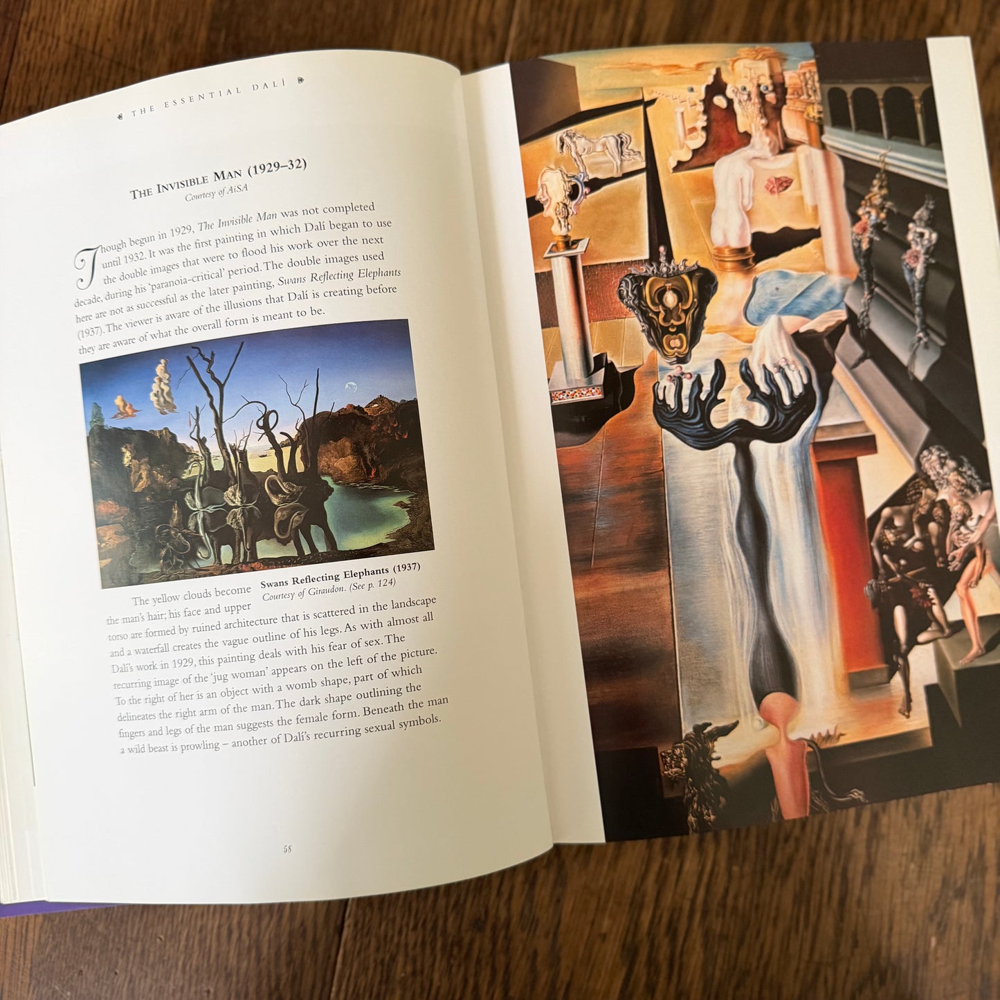 Essential Dali by Kirsten Bradbury - Salvador Dalí Vintage Illustrated Art Coffee Table Book