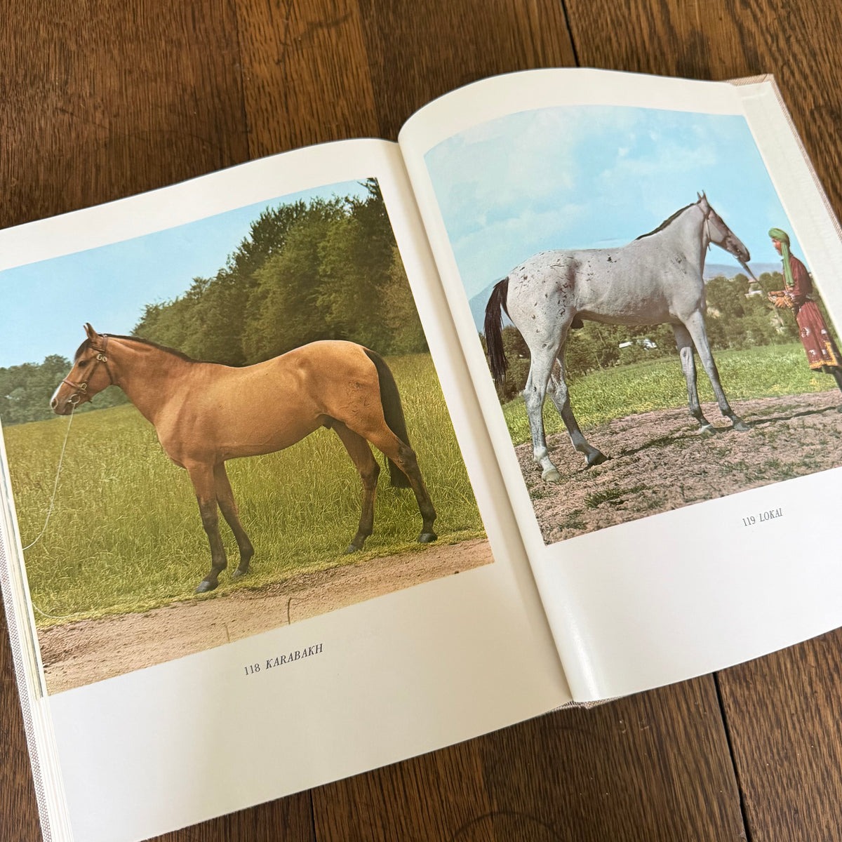 The World’s Finest Horses and Ponies - 1971 Vintage Coffee Table Book by Richard Glyn with Photos from Sally Anne Thompson