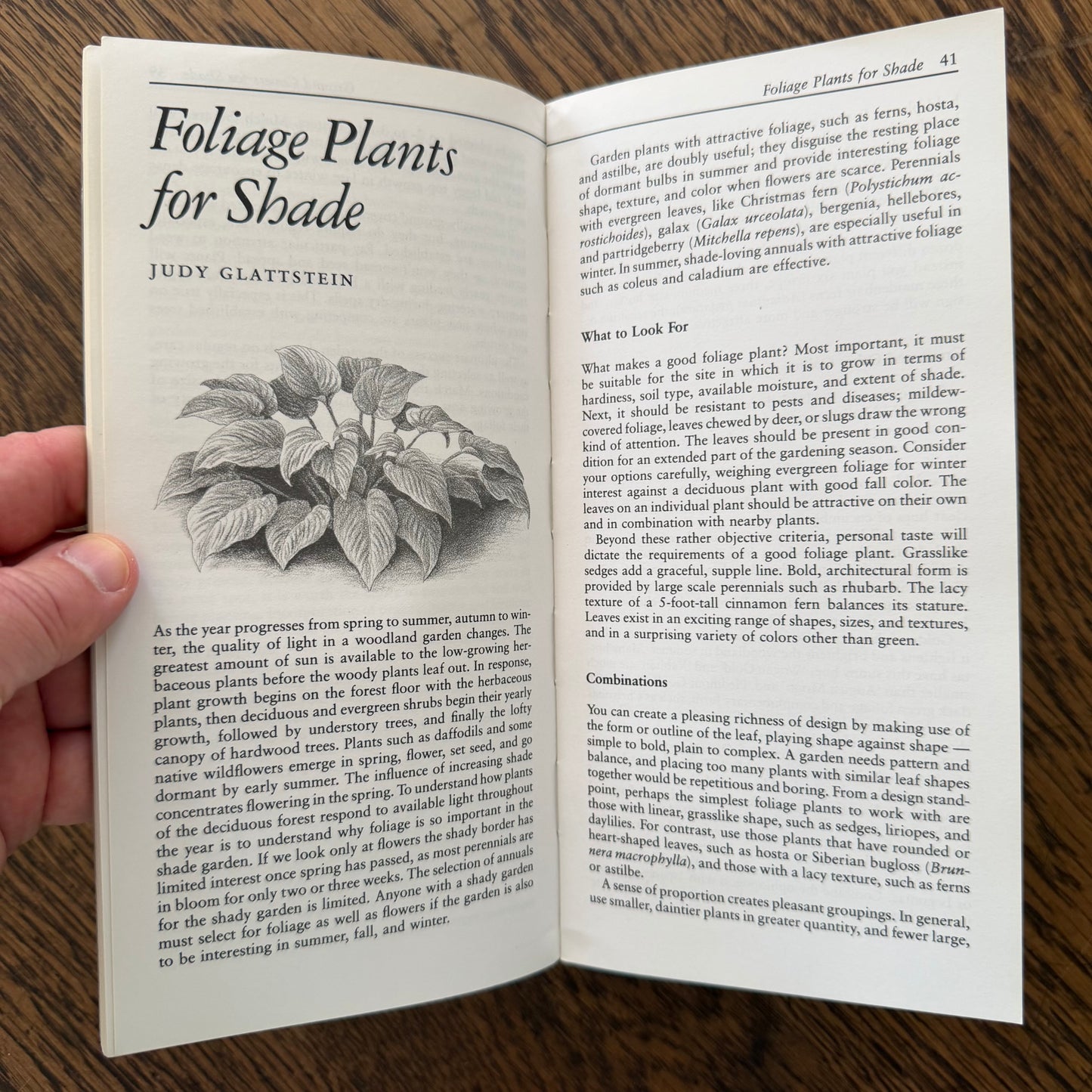 Taylor’s Guides to Gardening Set of 10 | Houghton Mifflin 1986–1996 | Bulbs Roses Herbs Houseplants Garden Design | Vintage Gardening Books