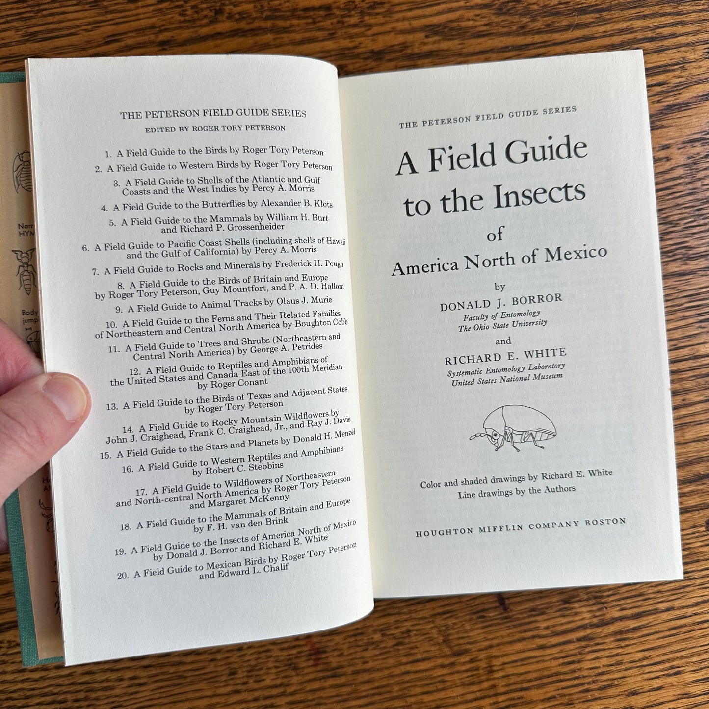 A Collection of 13 Vintage Peterson Field Guides!